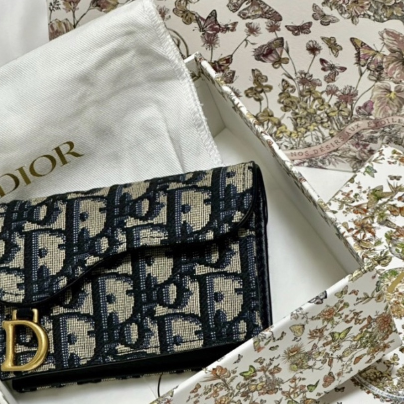 Dior Saddle Flap Card Holder Blue Dior Oblique Jacquard 착용 스타일