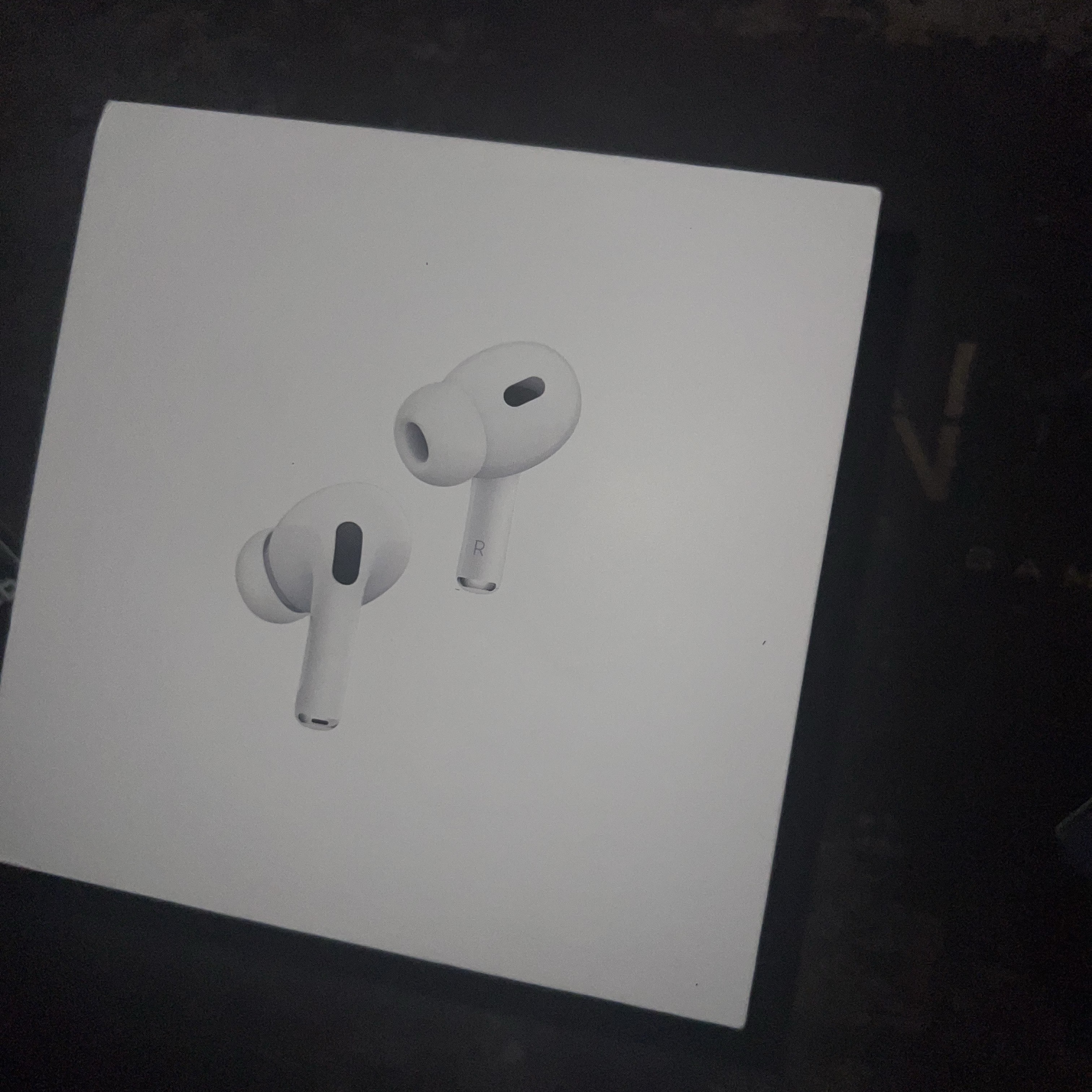 Apple Airpods Pro 2nd Gen with MagSafe Charging Case USB C (Korean Ver.) 착용 스타일