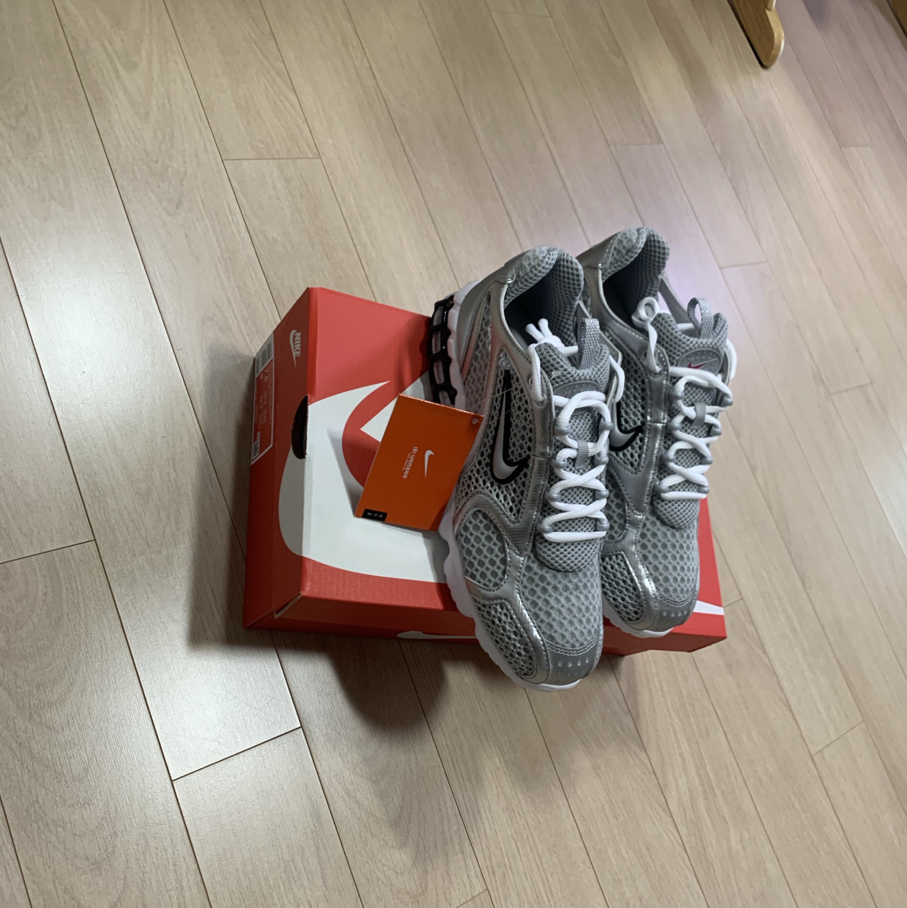 Nike Air Zoom Spiridon Cage 2 Metallic Silver 착용 스타일 - 2