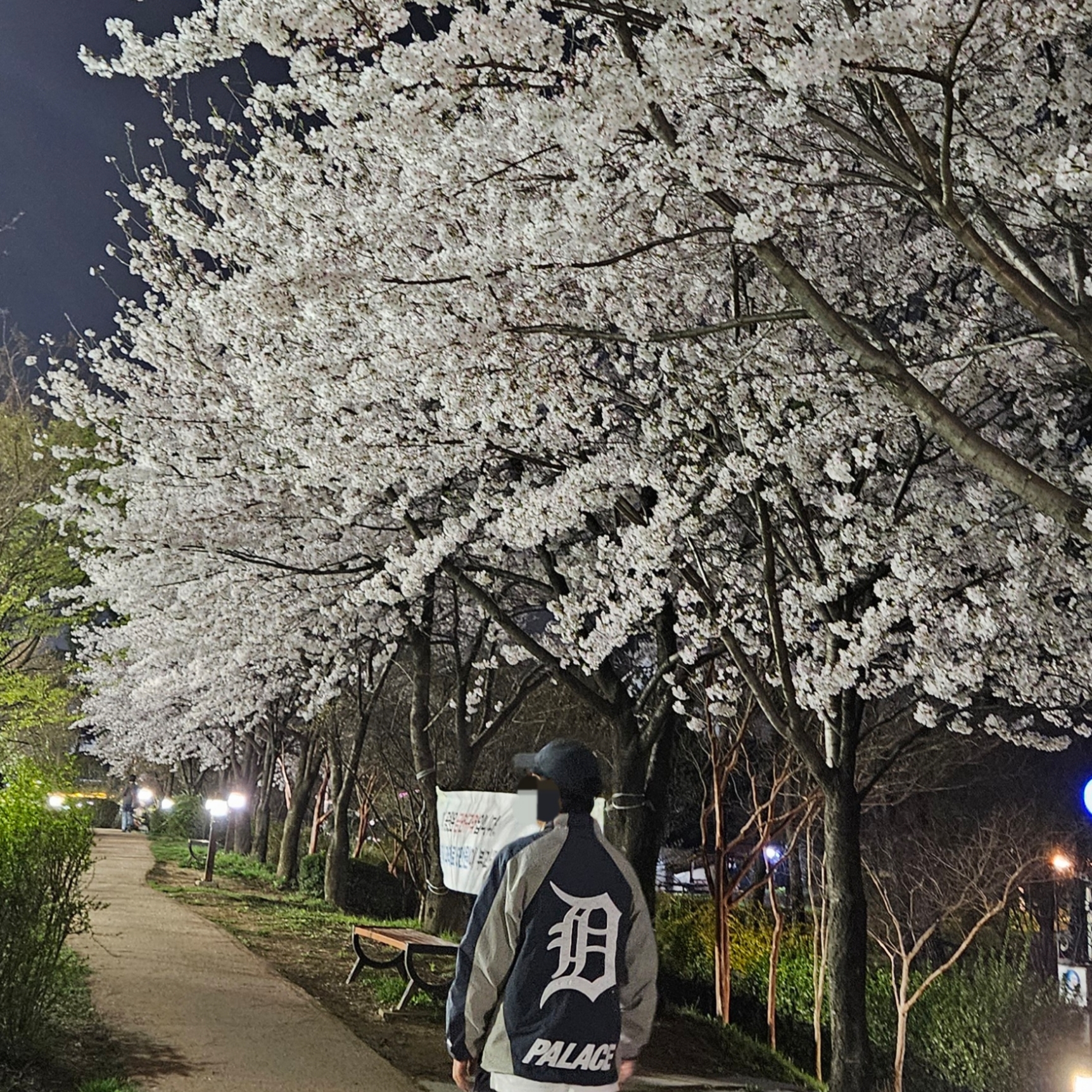 Palace x Detroit Tigers New Era Track Top Navy Grey - 22SS 착용 스타일
