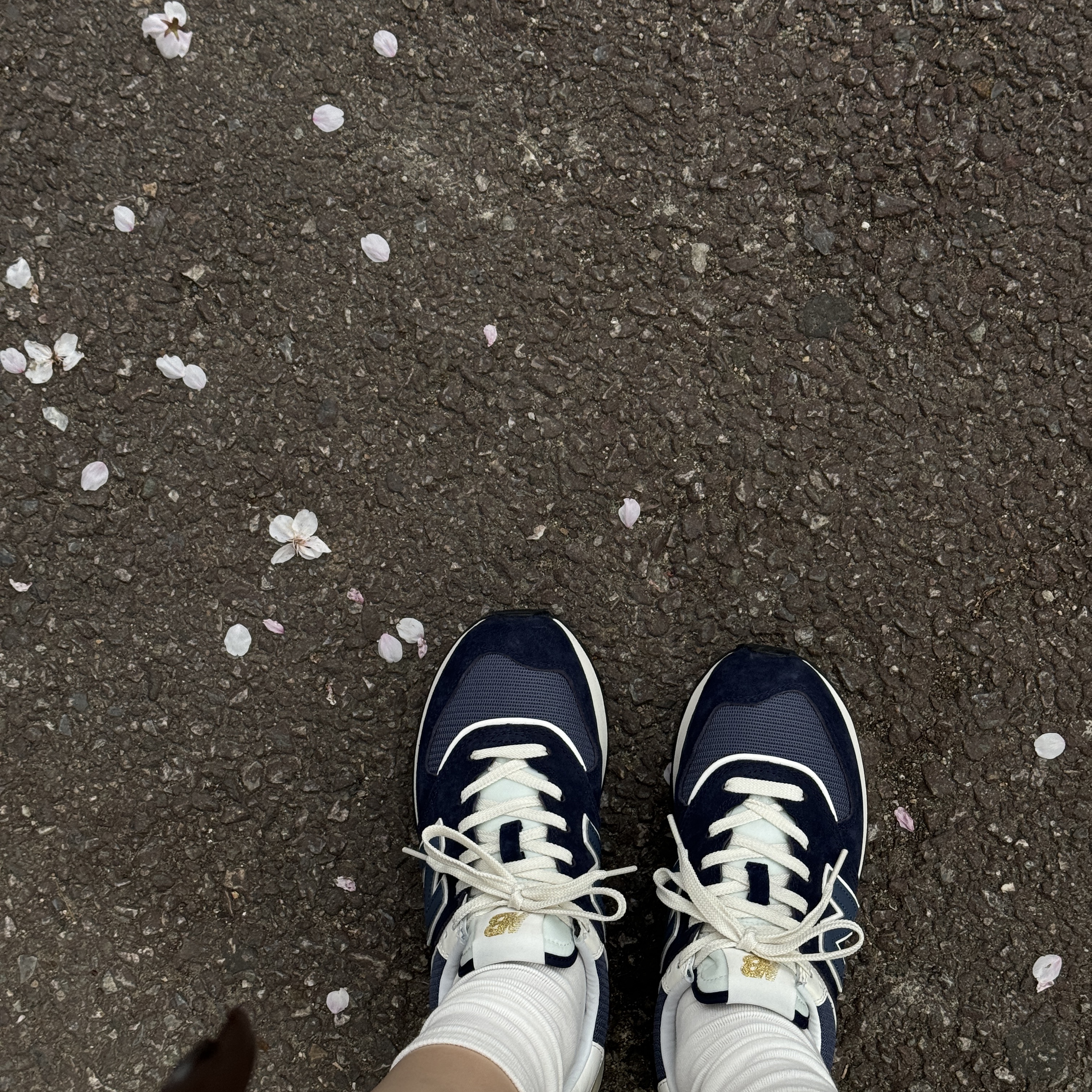 New Balance 574 Legacy Navy 착용 스타일