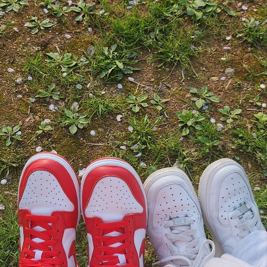 Nike Dunk Low SP White and University Red 2023 착용 스타일