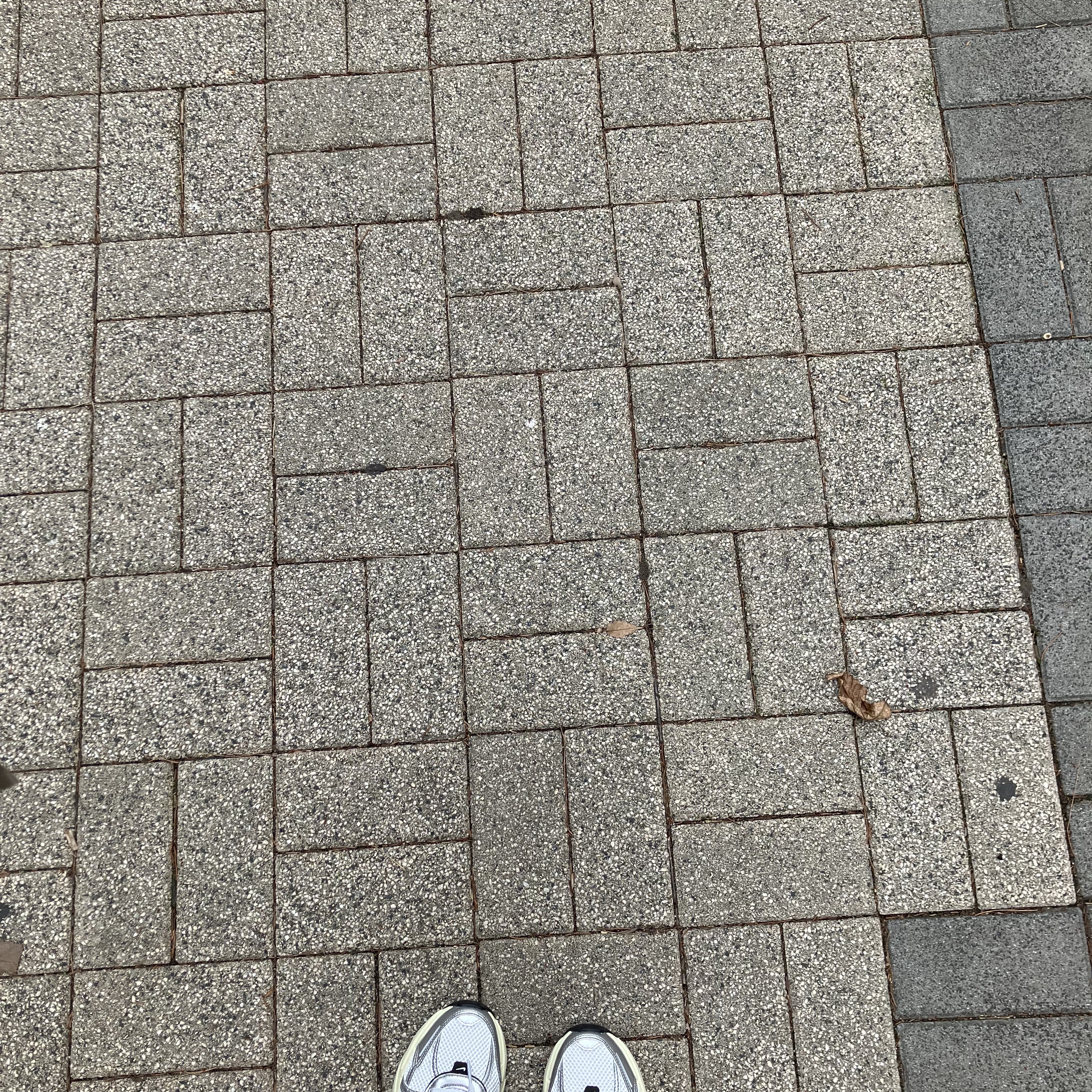 Nike V2K Run Summit White Metallic Silver 착용 스타일
