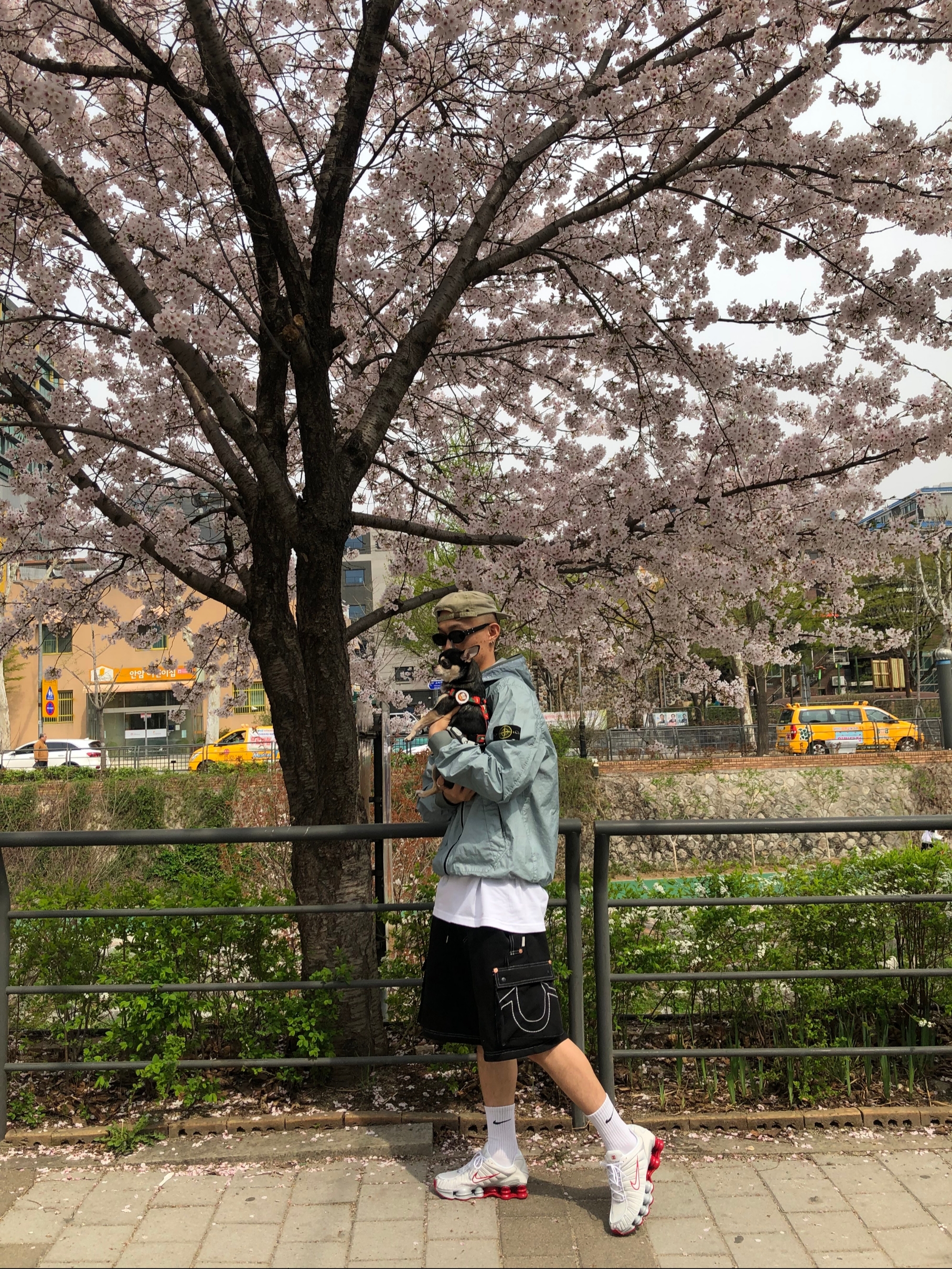 (W) Nike Shox TL Platinum Tint, Stone Island 40723 Membrana 3L TC Hooded Jacket Sky Blue - 23SS 착용 스타일
