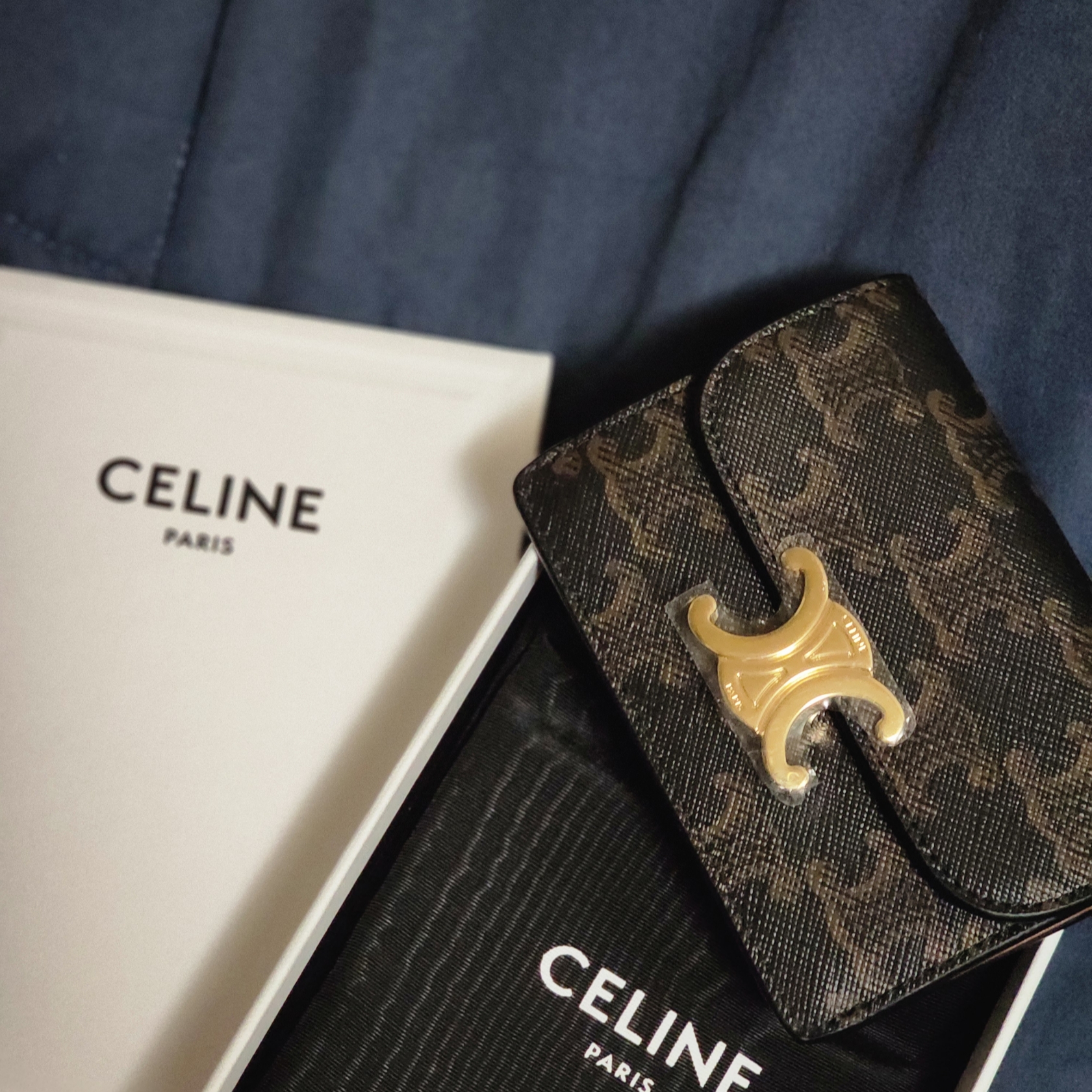 Celine Card Holder with Flap in Triomphe Canvas Tan 착용 스타일