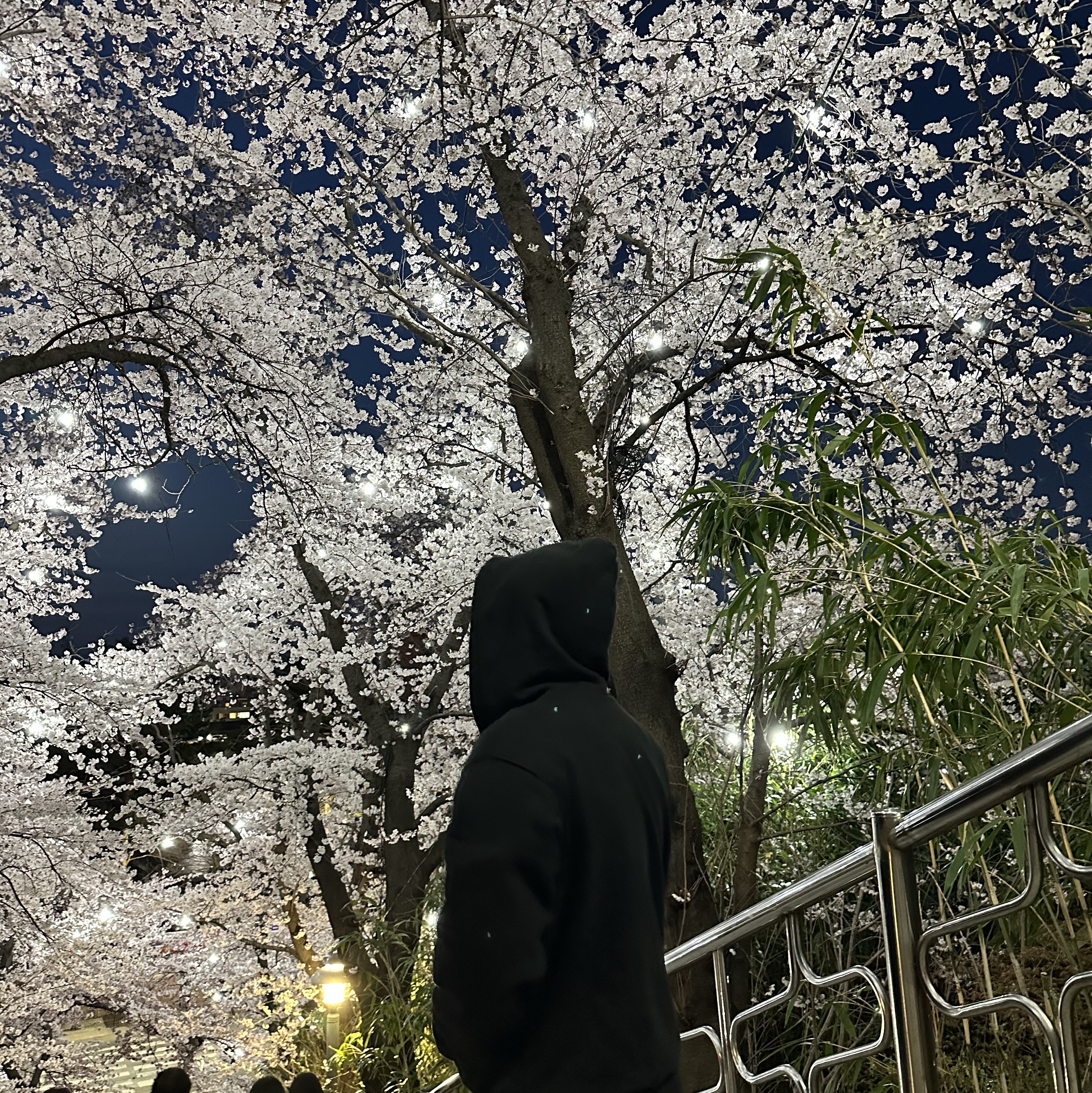 Undermycar Urkan Padded Shoulder Thermal Hood Zip-Up Caviar - 23FW 착용 스타일 - 1