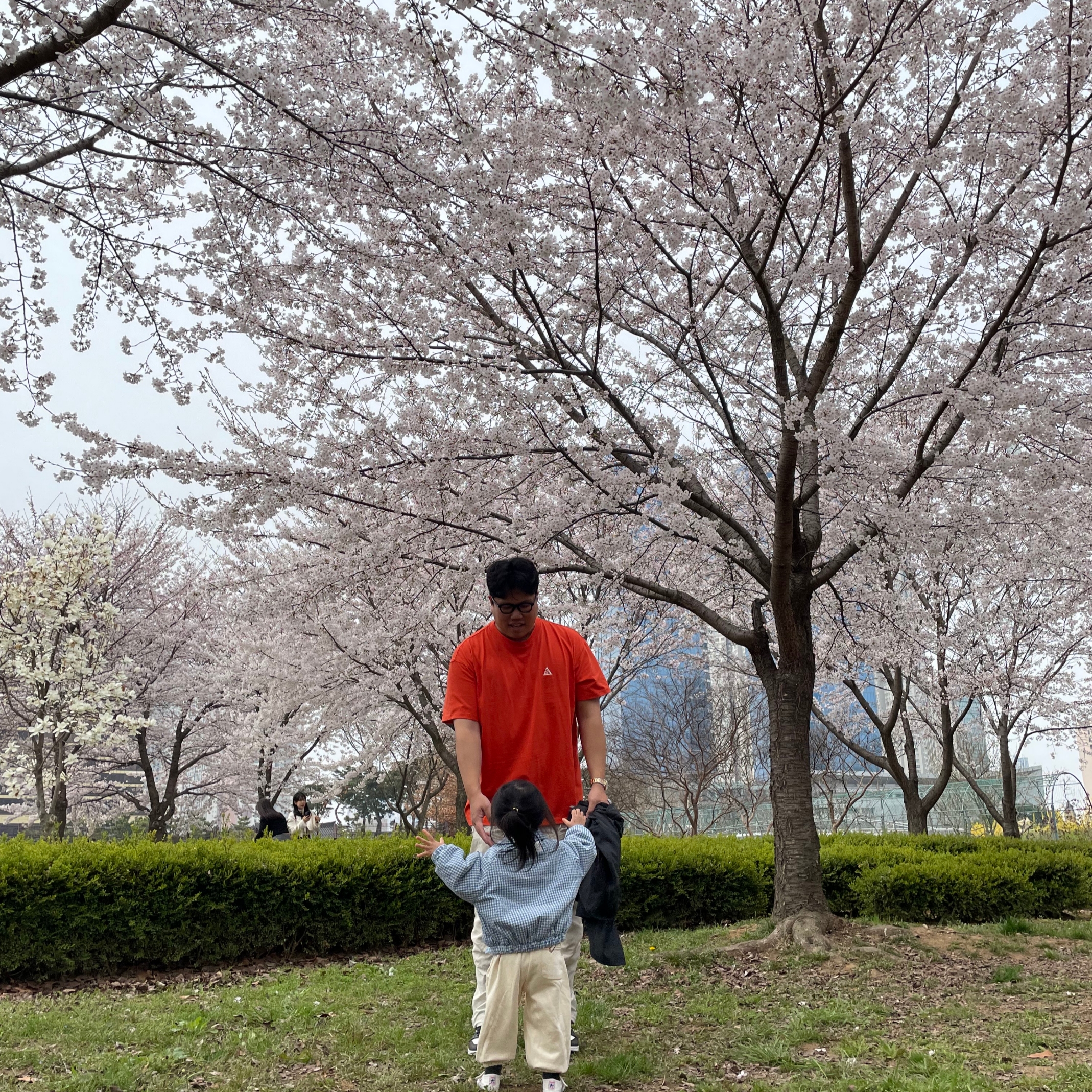 Nike ACG Smith Summit Cargo Pants Light Orewood Brown - Asia, Nike ACG LBR T-Shirt Black - US/EU 착용 스타일 - 2