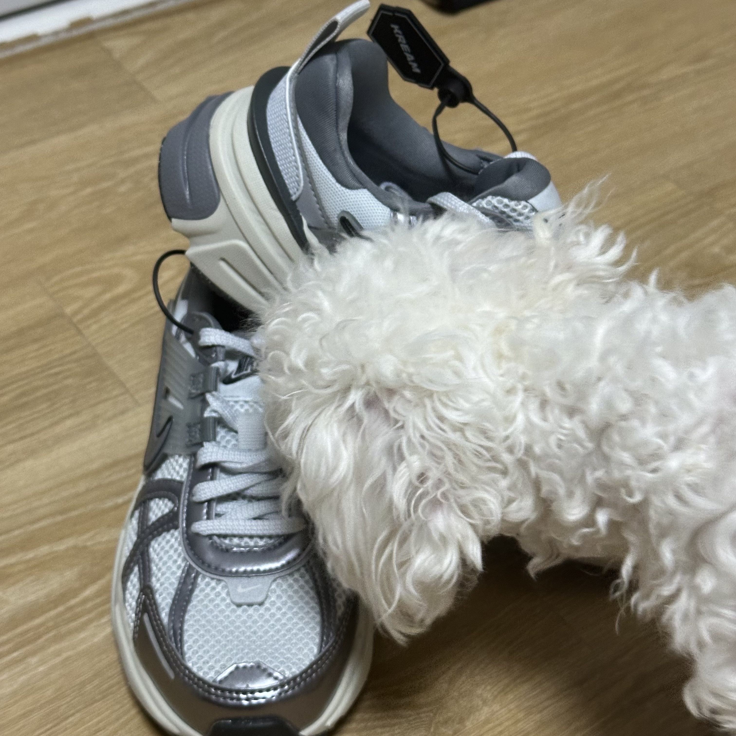 Nike V2K Run Pure Platinum Wolf Grey 착용 스타일 - 2