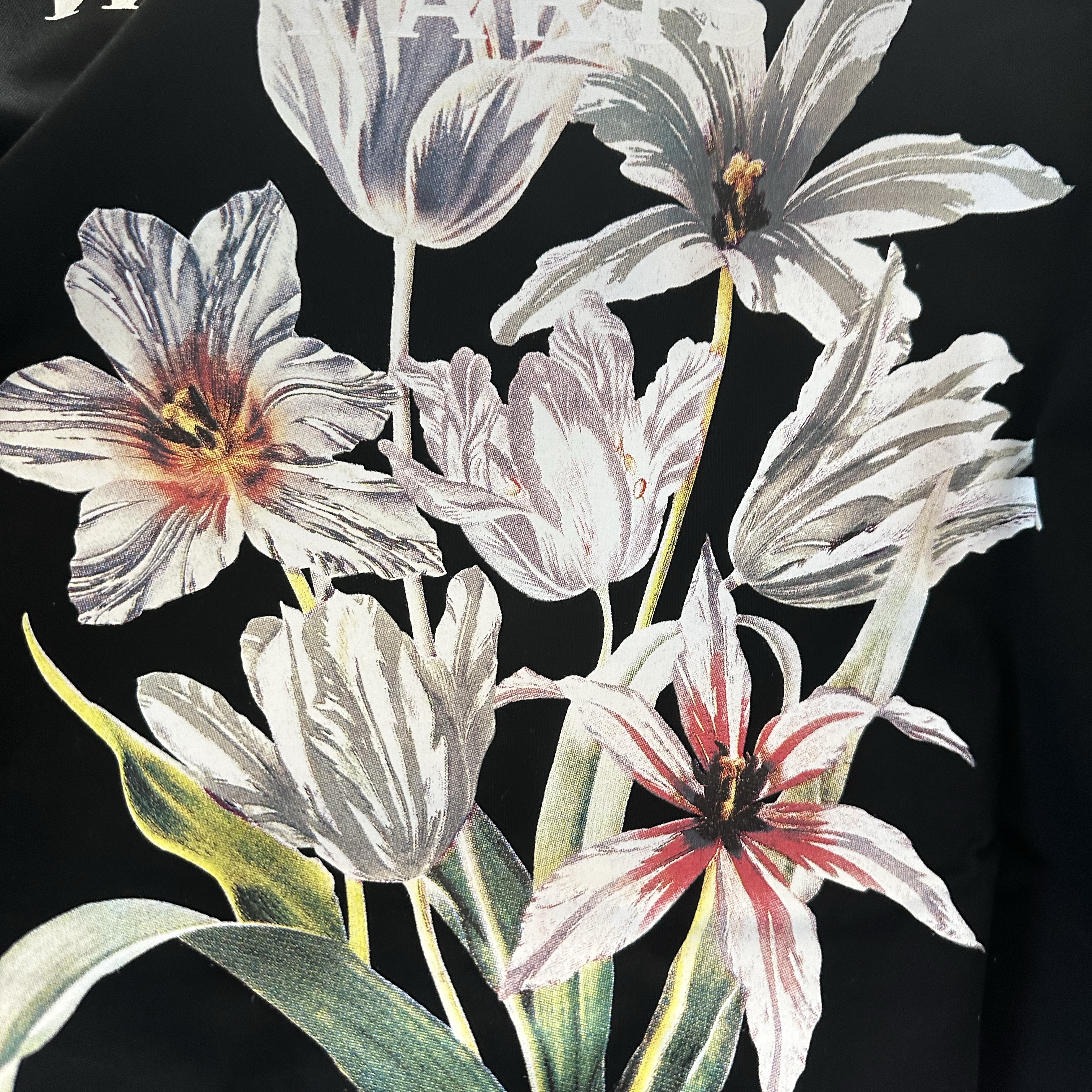 Wooyoungmi Flower Back Logo T-Shirt Black - 24SS 착용 스타일