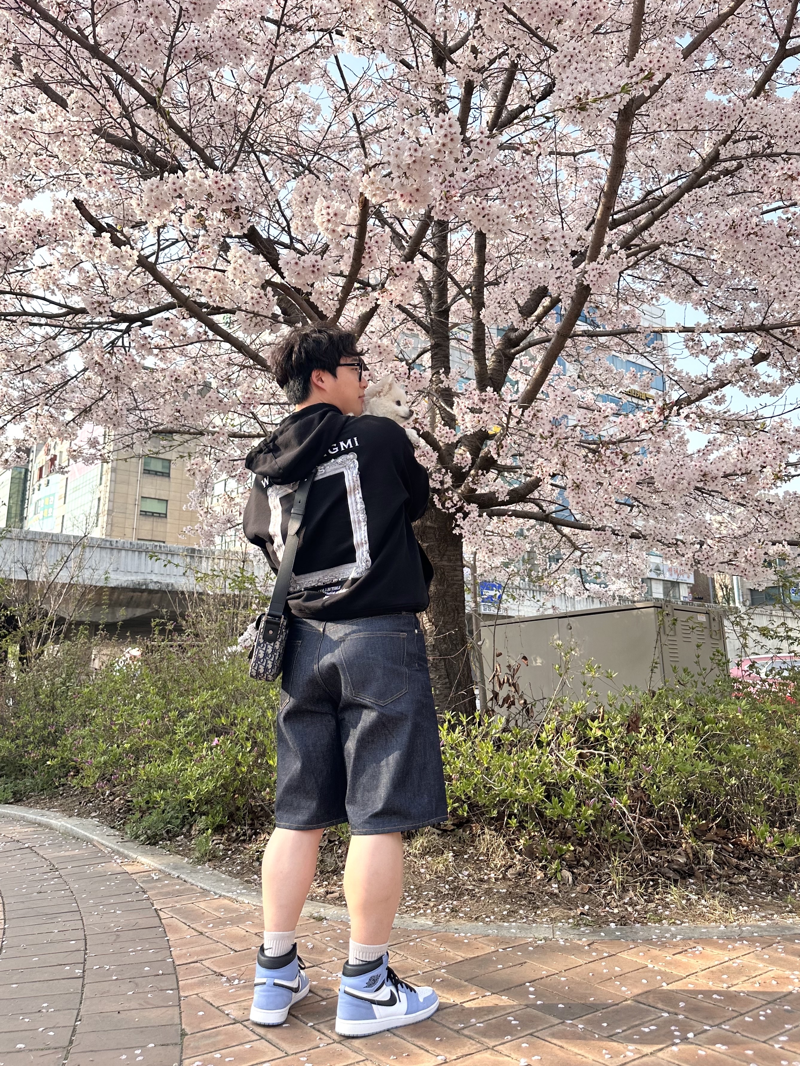 Wooyoungmi Frame Back Logo Hooded Sweatshirt Black - 23SS, Jordan 1 Retro High OG University Blue 착용 스타일 - 1