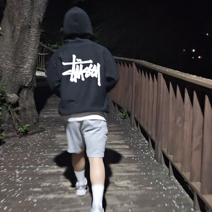 Stussy Basic Stussy Zip Hoodie Black 2023 착용 스타일
