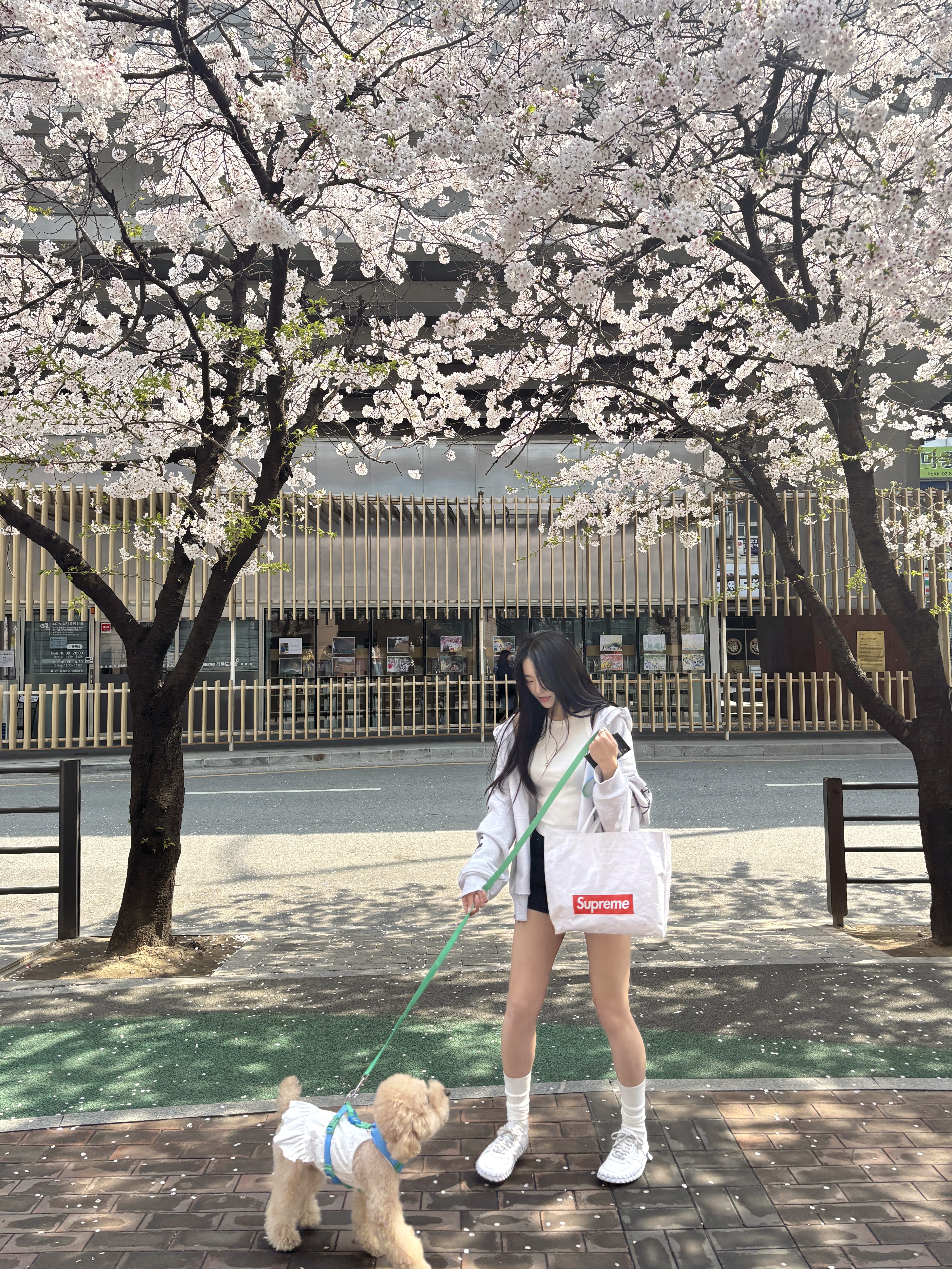 Stussy Paradise Lost Zip Hood Ash Heather, Nike x Jacquemus J Force 1 Low LX SP White 착용 스타일 - 2