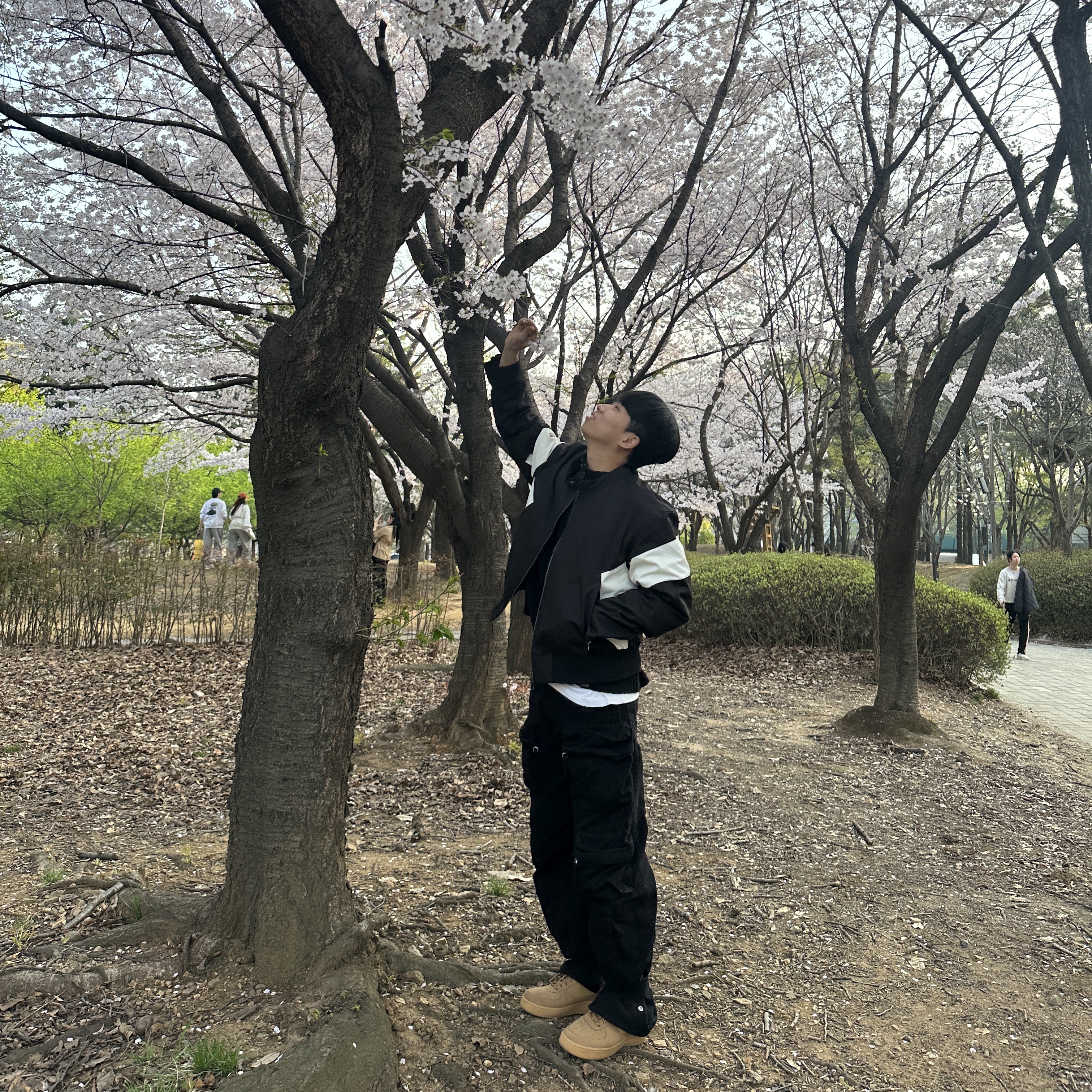 Nike Air Force 1 '07 WB Flax, Zara x Ader Error Patchwork Oversize Knit Sweater Black ์ฐฉ์ฉ ์คํ์ผ - 1