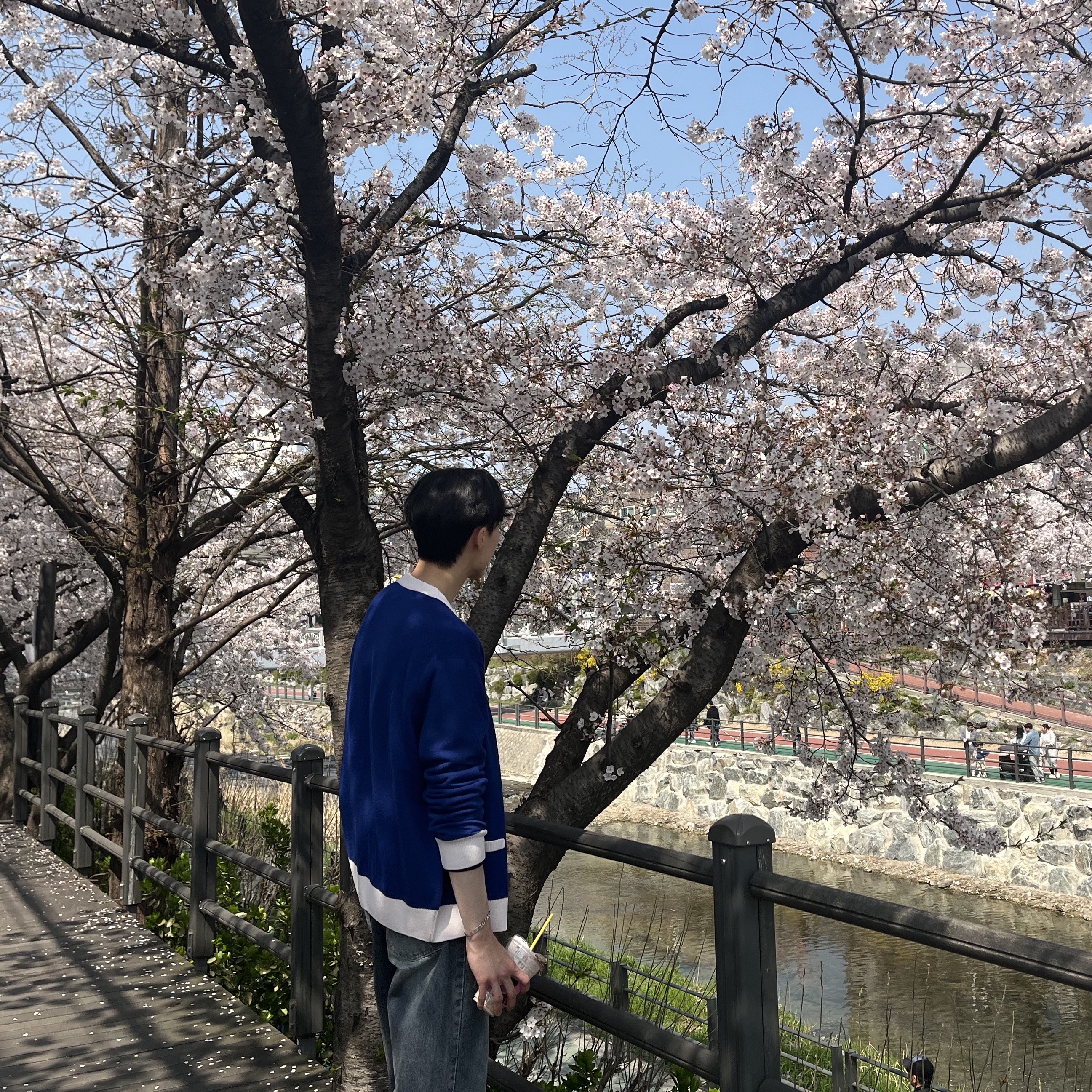 Maison Kitsune Baby Fox Patch Bi-Color Classic Cardigan Deep Blue, Saint Laurent Grained Leather Silver Monogram Belt Black 착용 스타일 - 1