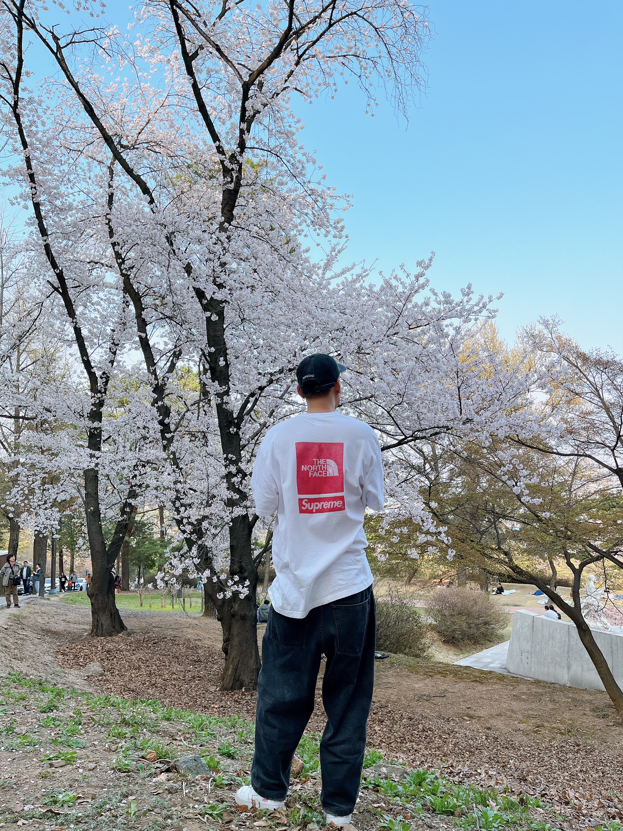 Supreme x The North Face S/S Top White - 24SS, Supreme Pigment Print S Logo 6-Panel Black - 22FW 착용 스타일
