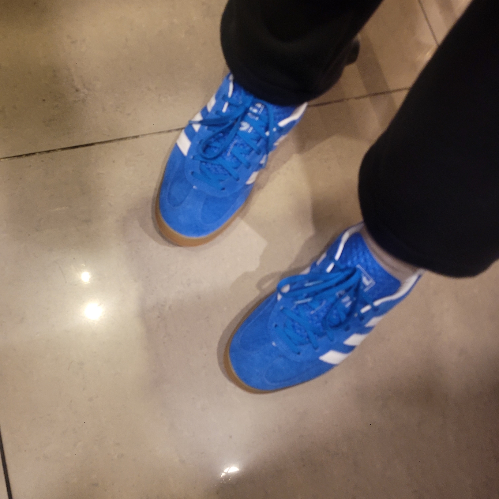 Adidas Gazelle Indoor Blue Bird 착용 스타일