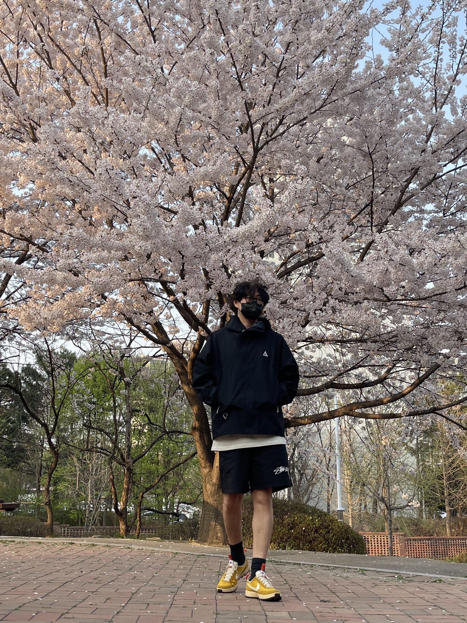 Nike ACG Storm-Fit ADV Cascade Rains Full Zip Jacket Black - Asia, Nike x Stussy Shorts Black (FJ9167-010) 착용 스타일 - 3