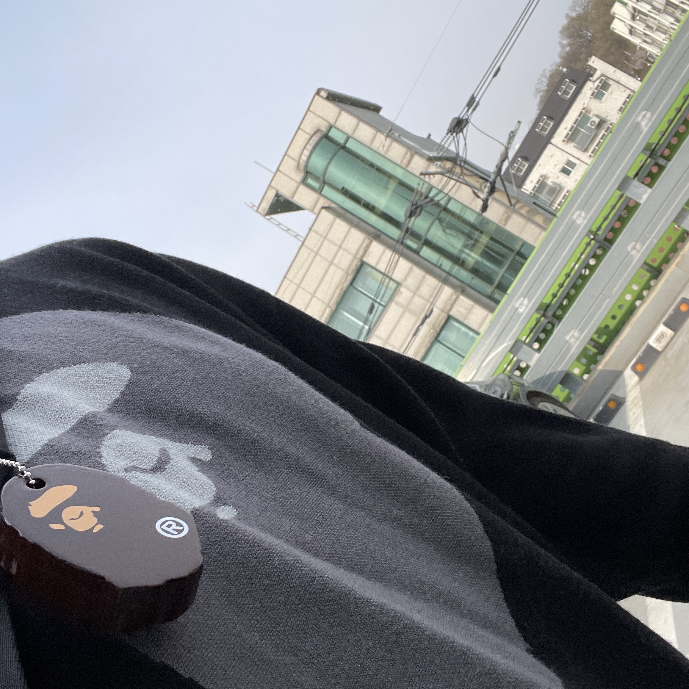BAPE Ape Head Keychain (Vinyl Acetate) 착용 스타일