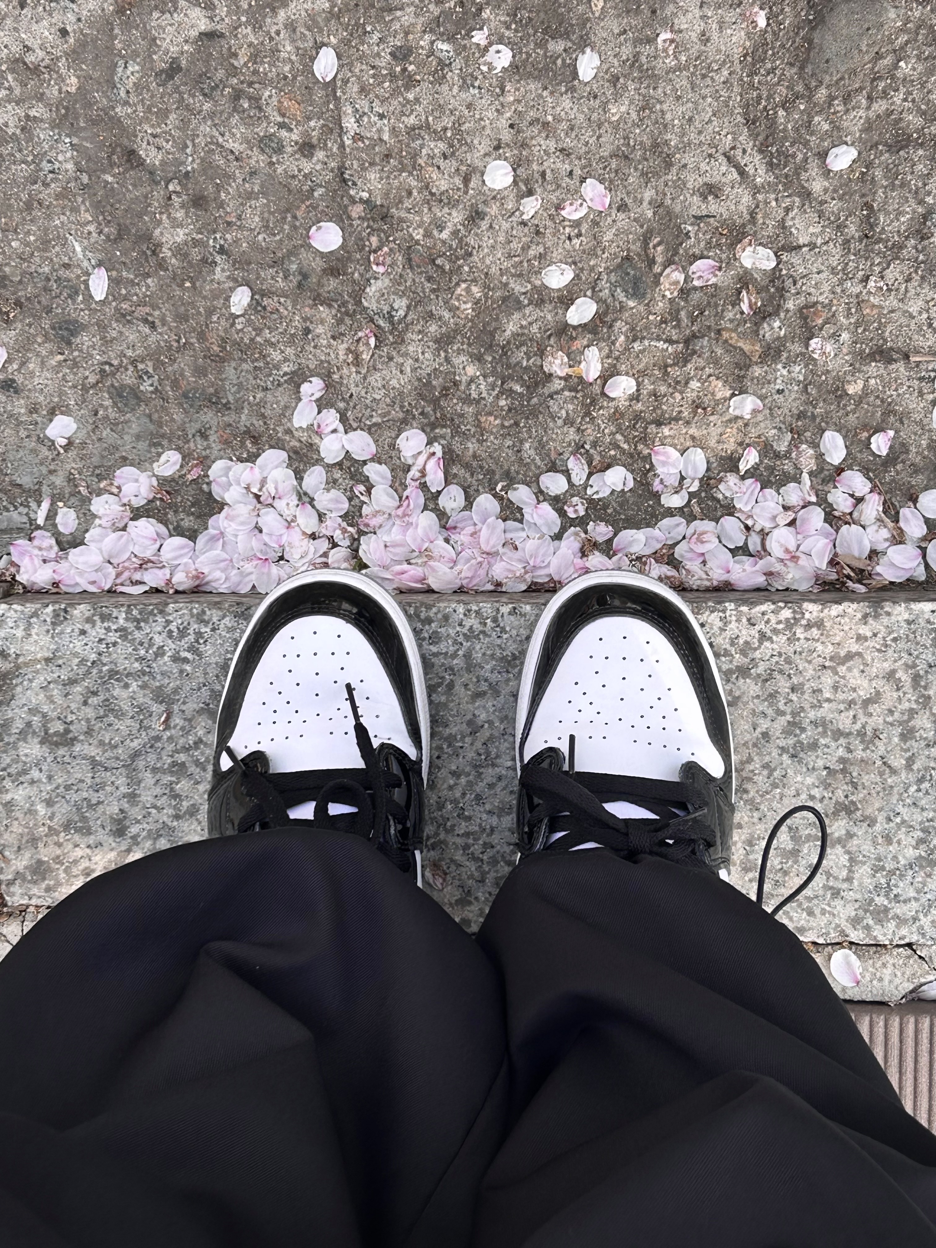 (GS) Jordan 1 Low SE Concord, Chanel Classic Wallet On Chain Grained Calfskin & Gold Navy Blue 착용 스타일 - 3
