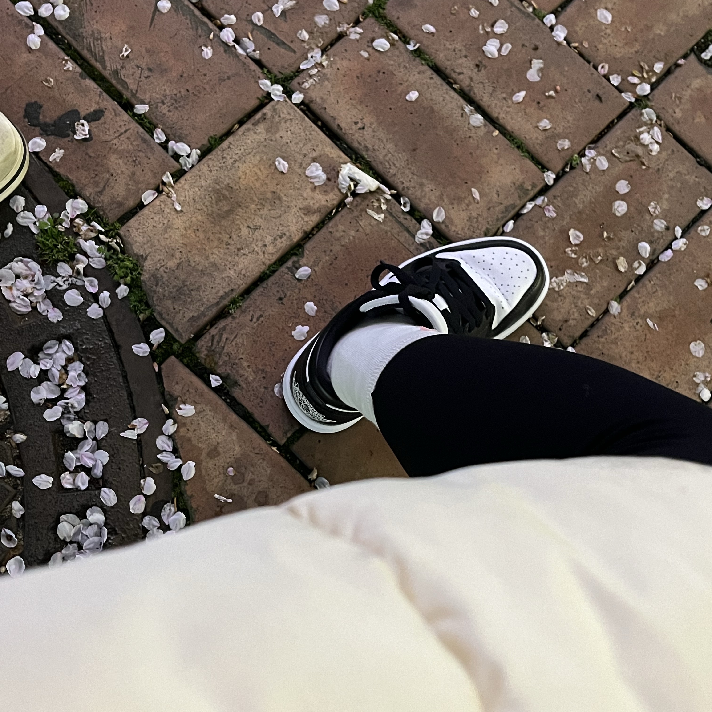 (W) Jordan 1 Low Black and White 착용 스타일 - 3