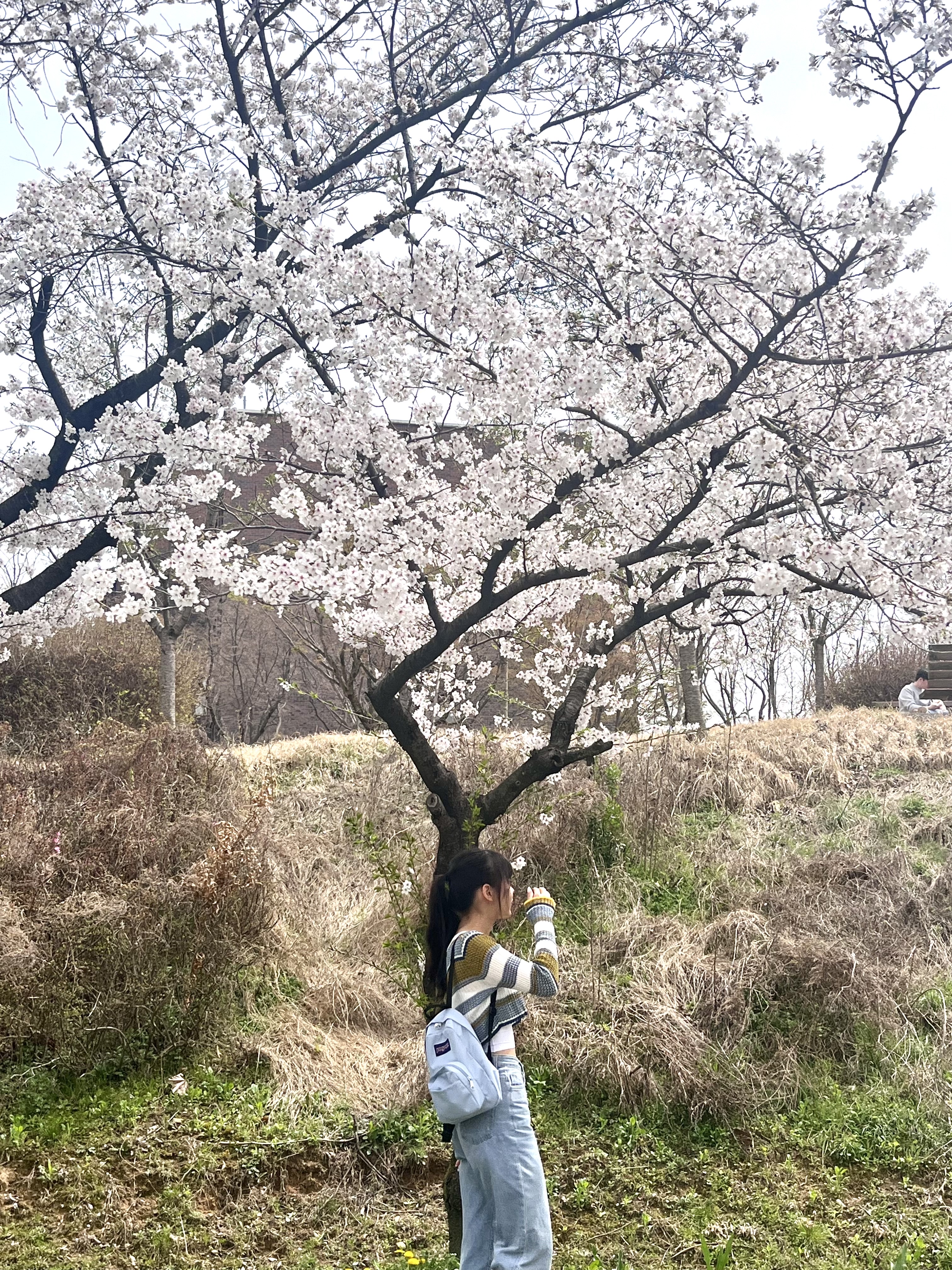 Jansport Half Pint Mini Backpack Blue Dusk 착용 스타일 - 2