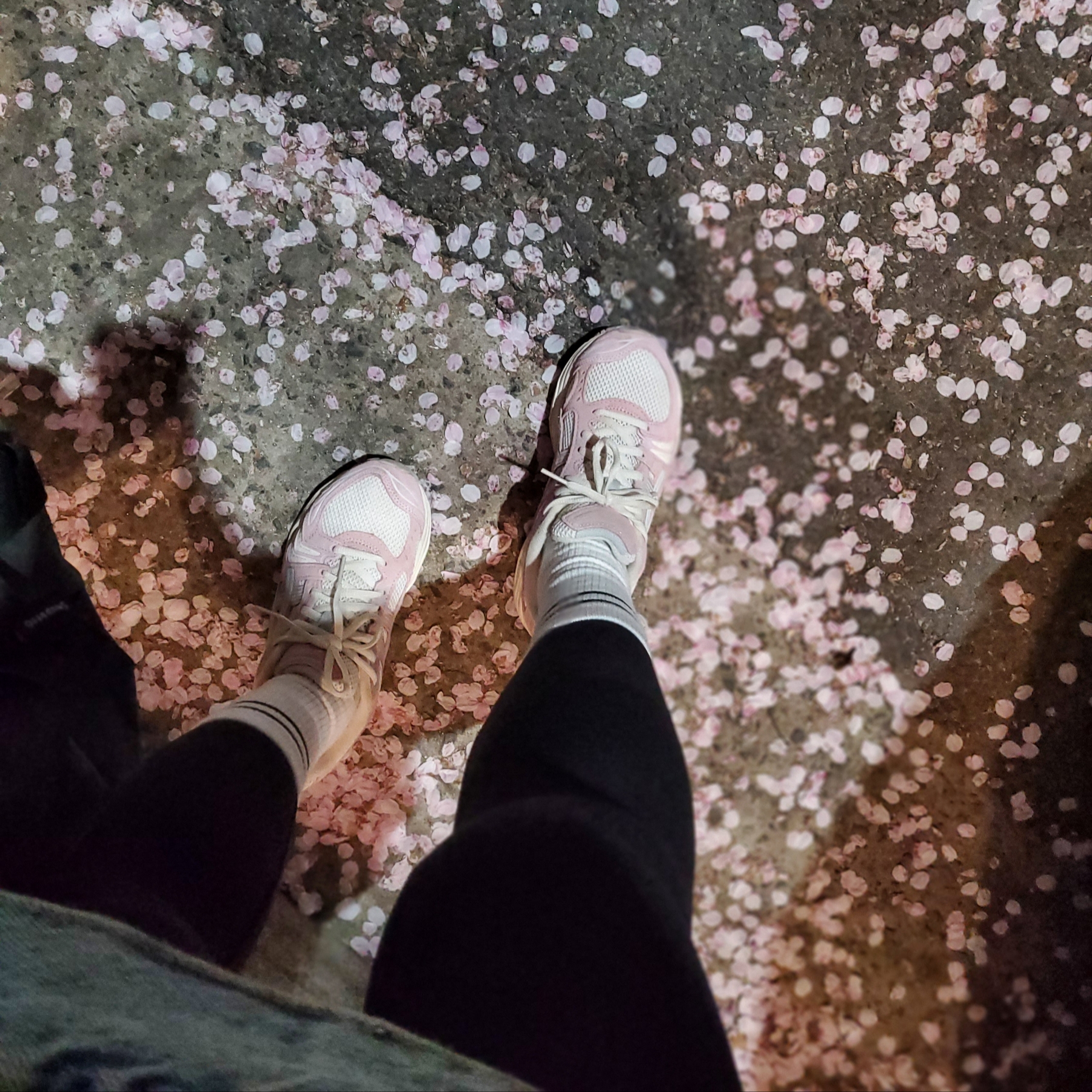 (W) Asics Gel-Kayano 14 Cream Pink Salt 착용 스타일 - 1