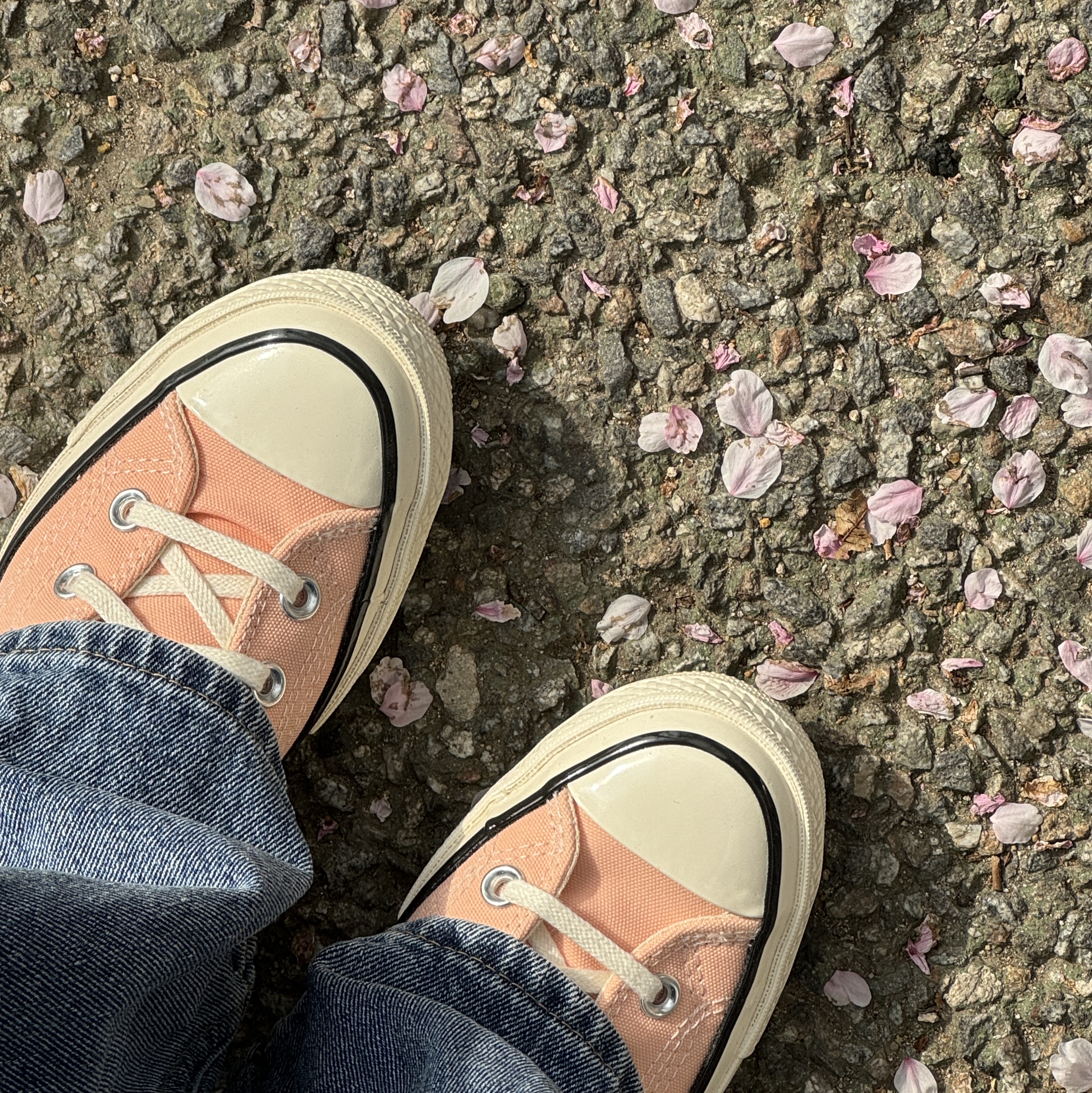 Converse Chuck 70 Vintage Canvas Ox Cheeky Coral Egret 착용 스타일