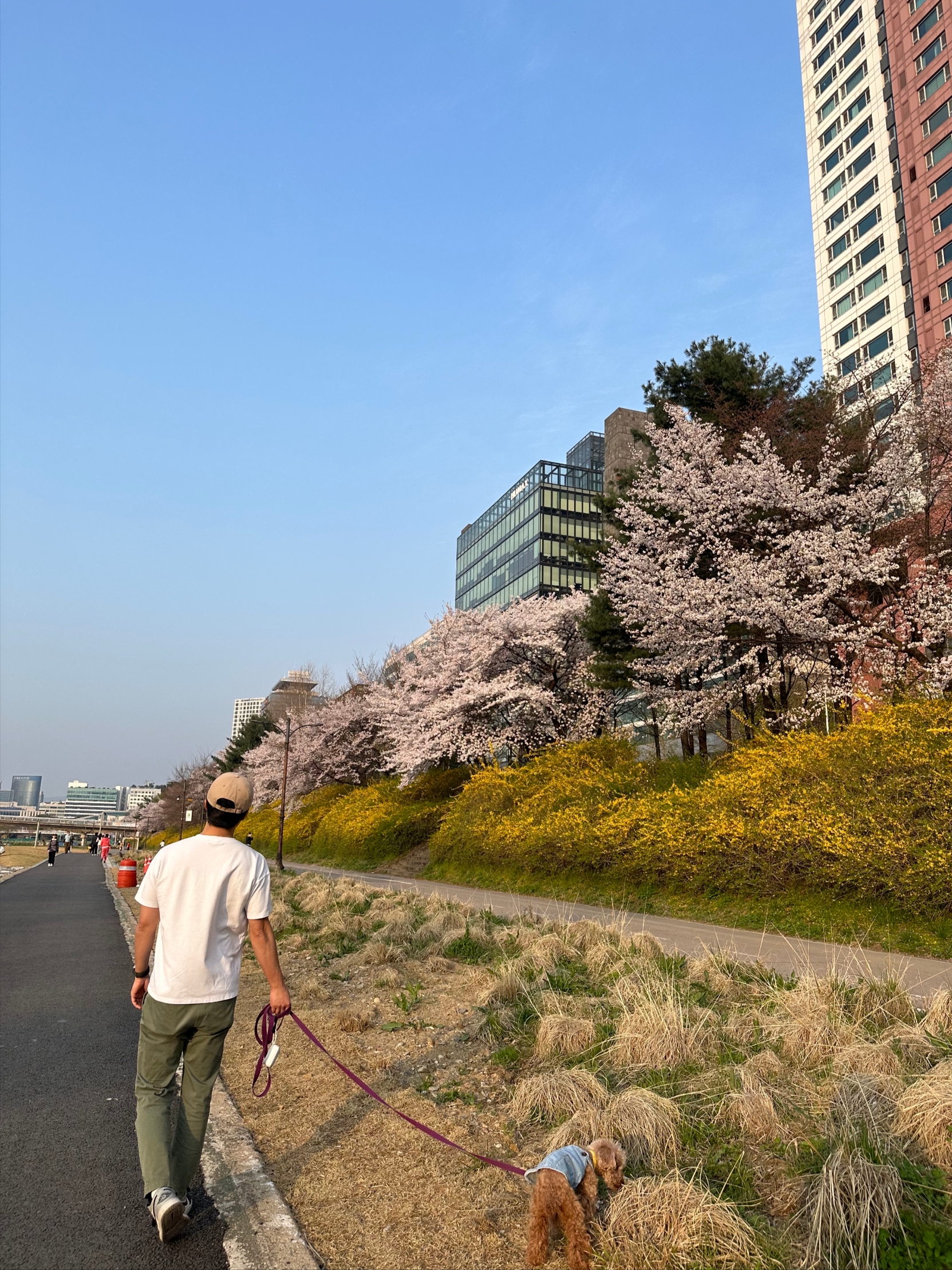slumberman님의 스타일