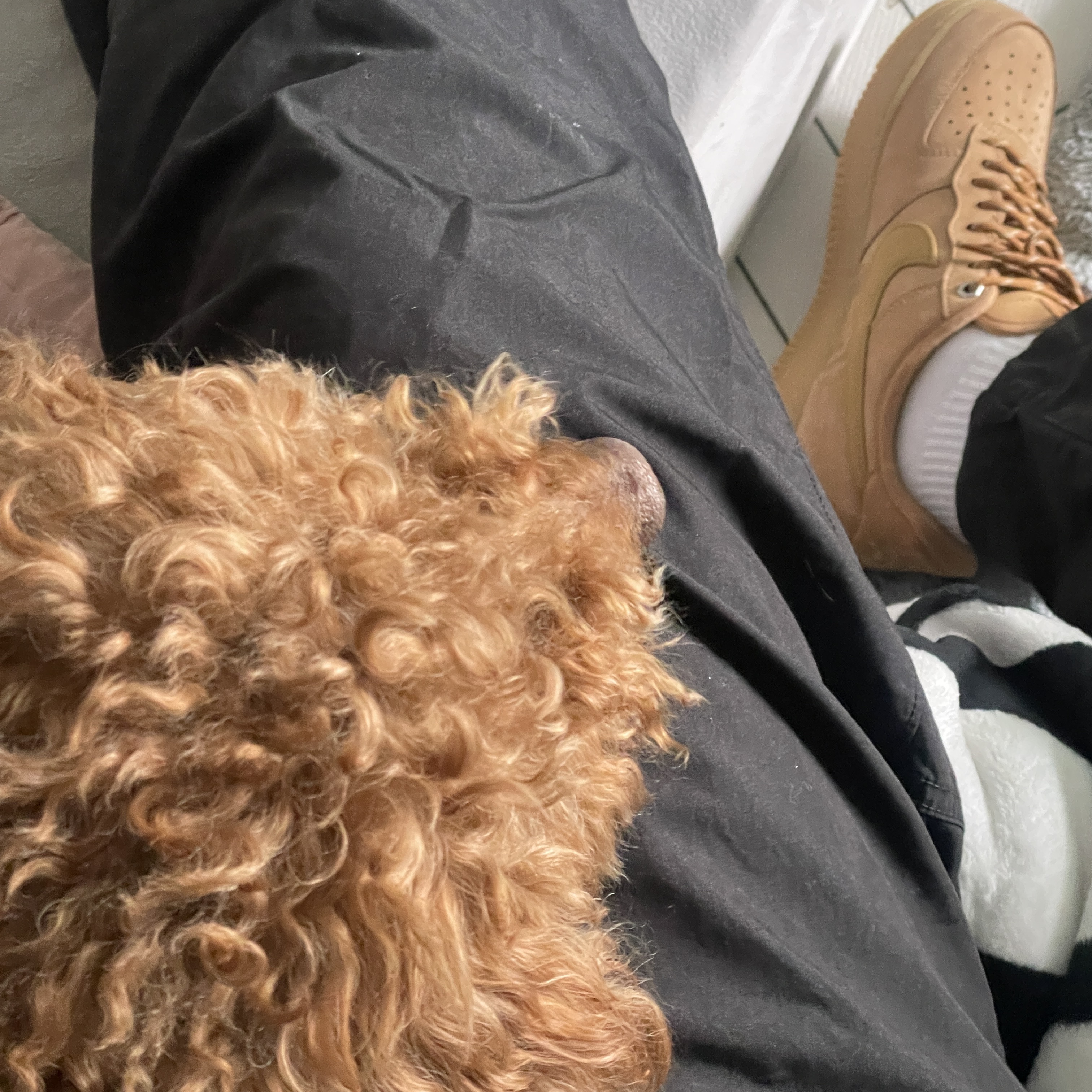 Nike Air Force 1 '07 WB Flax 착용 스타일