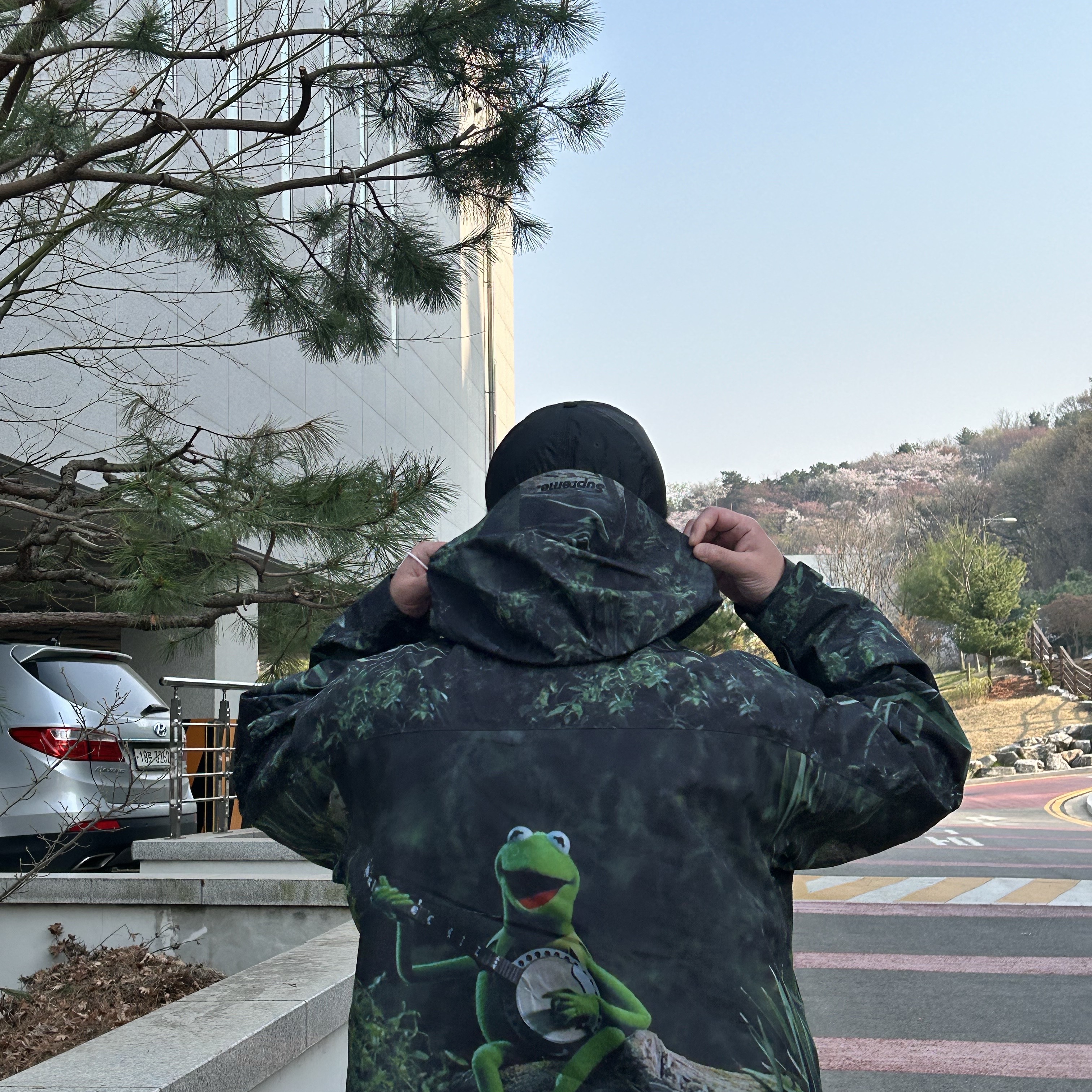 Supreme Gore-Tex Taped Seam Shell Jacket Kermit The Frog - 24SS 착용 스타일