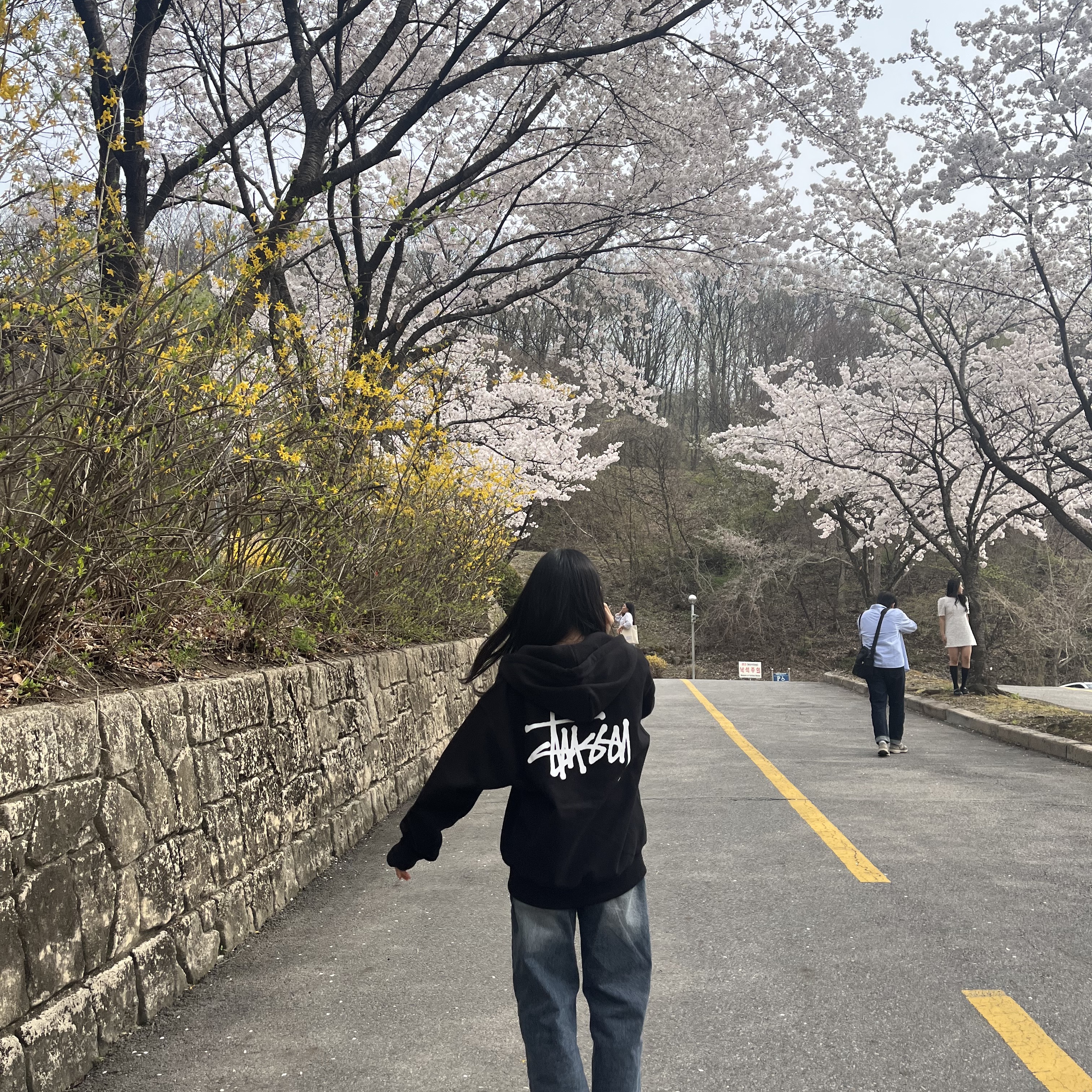 Stussy Basic Stussy Zip Hoodie Black 2023 착용 스타일