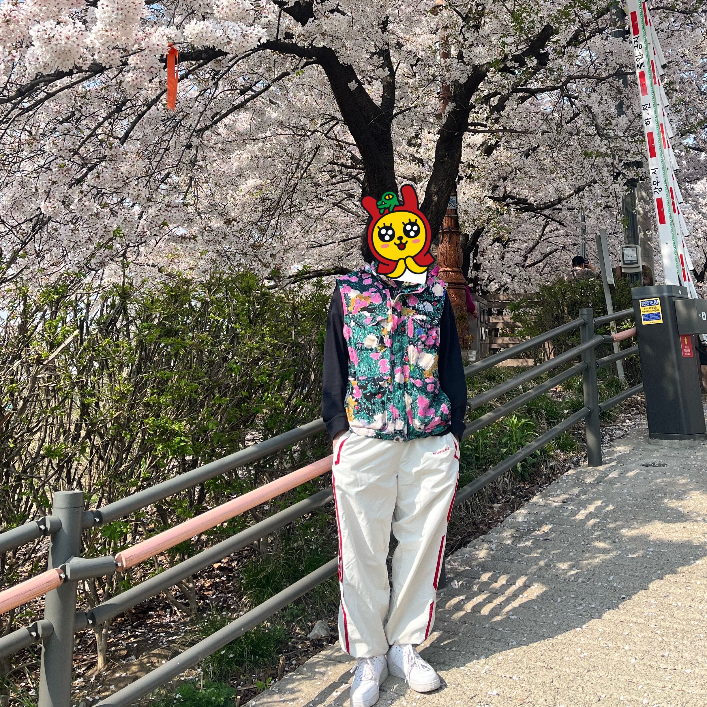 Supreme x The North Face Trekking Convertible Jacket Flowers - 22SS, Supreme Inset Link Track Pant Light Grey - 24SS 착용 스타일