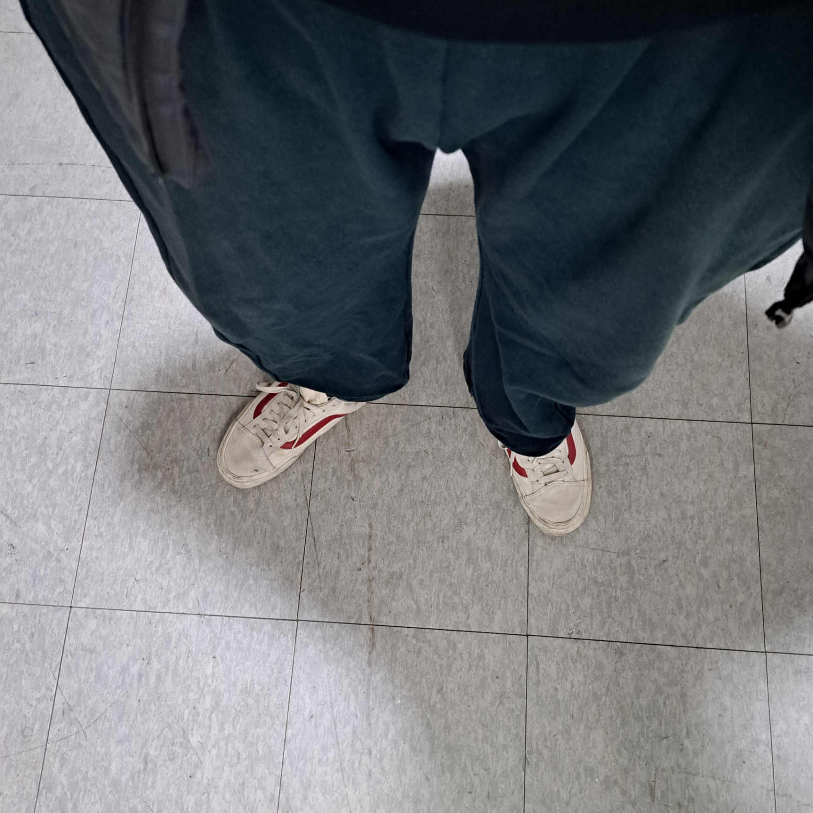 Vans Style 36 Marshmallow Racing Red 착용 스타일