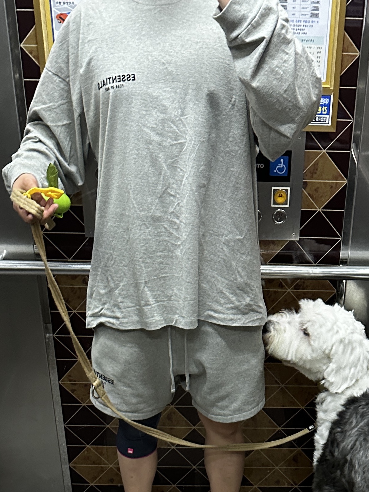 Essentials The Core Collection Sweatshorts Dark Oatmeal, Essentials The Core Collection Long Sleeve T-Shirt Dark Oatmeal 착용 스타일