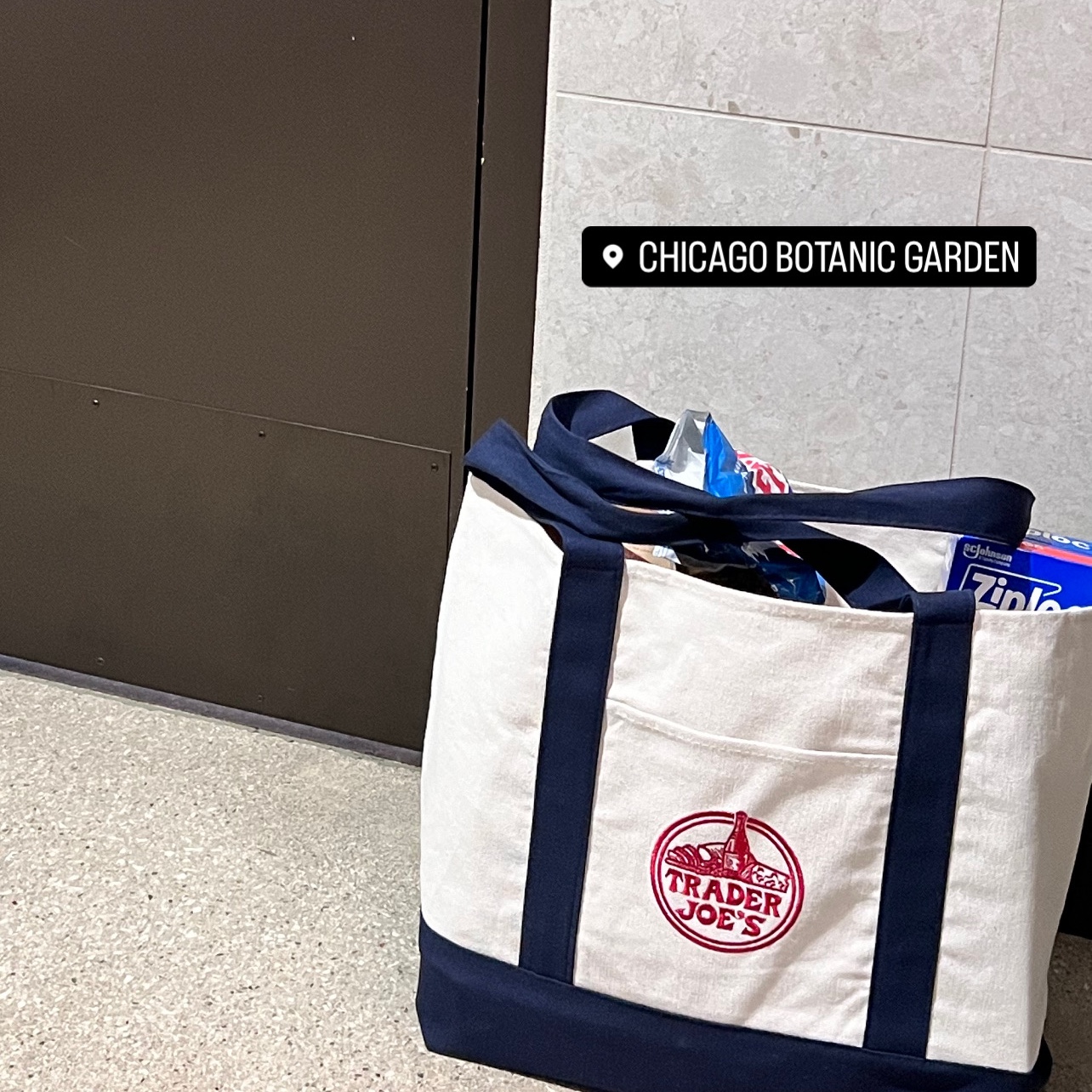 Trader Joe's Canvas Tote Bag Navy 착용 스타일