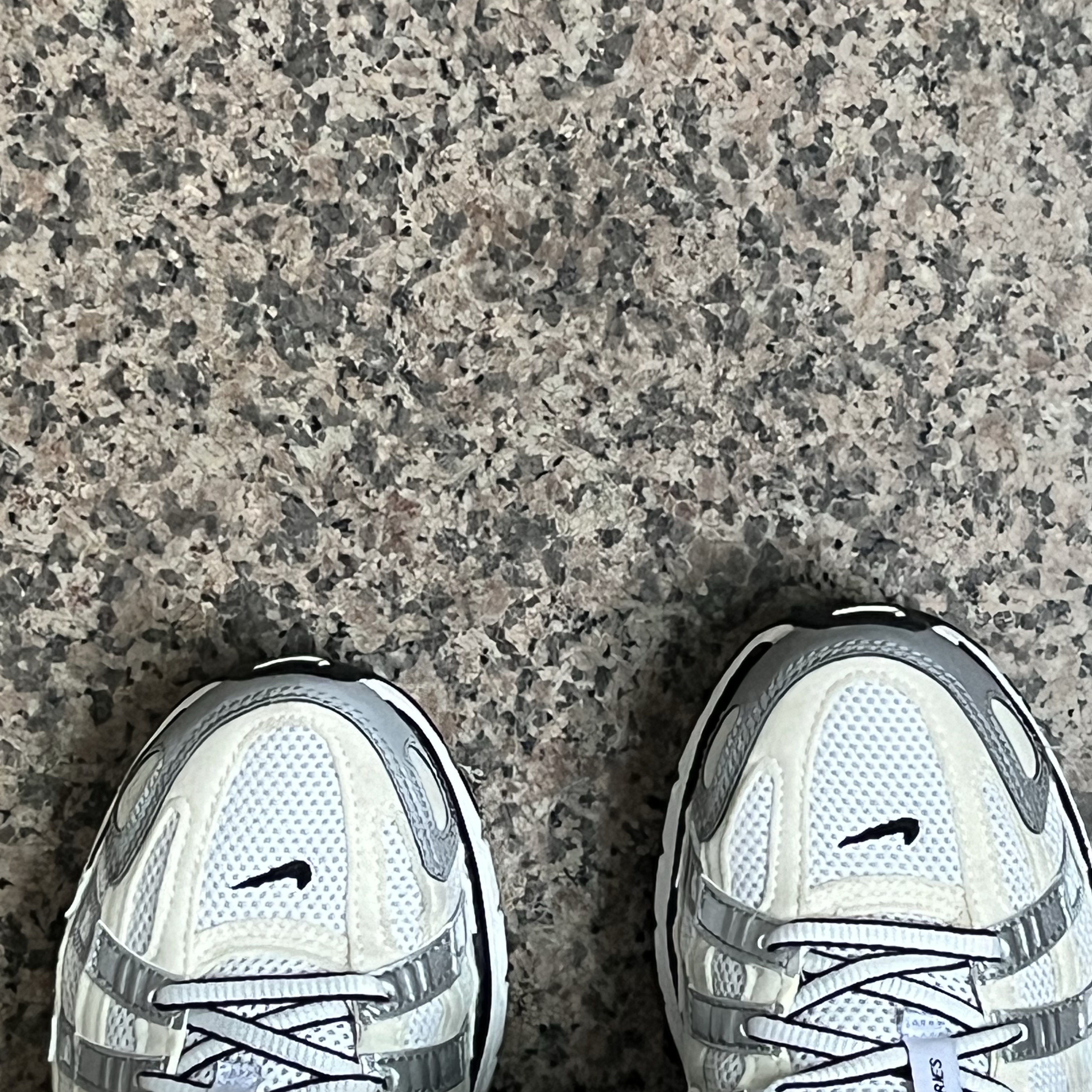 (W) Nike P-6000 Coconut Milk Metallic Silver 착용 스타일