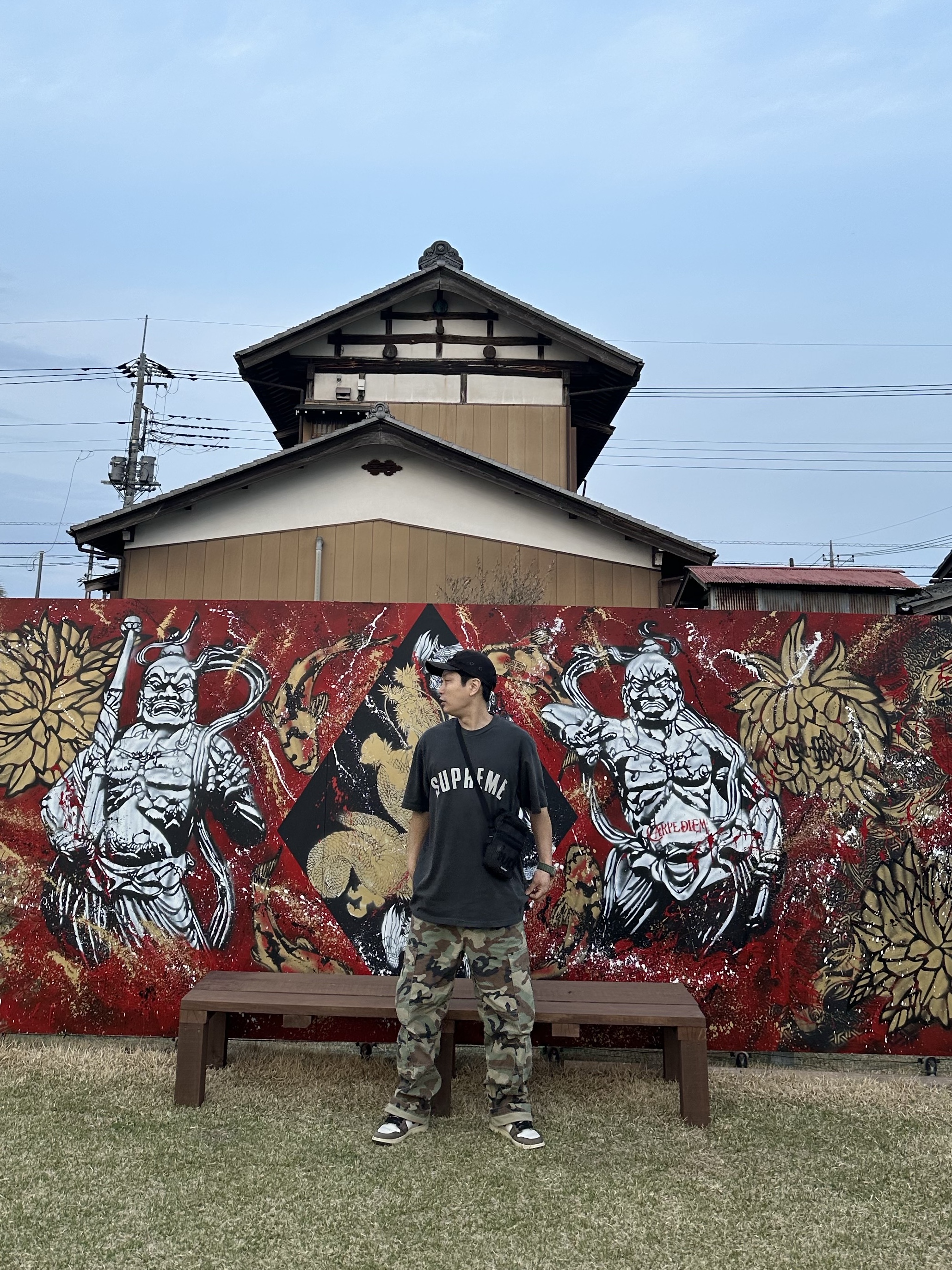 Stussy Surplus Cargo Pants Camo 착용 스타일