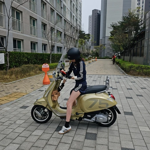 스타일 카드