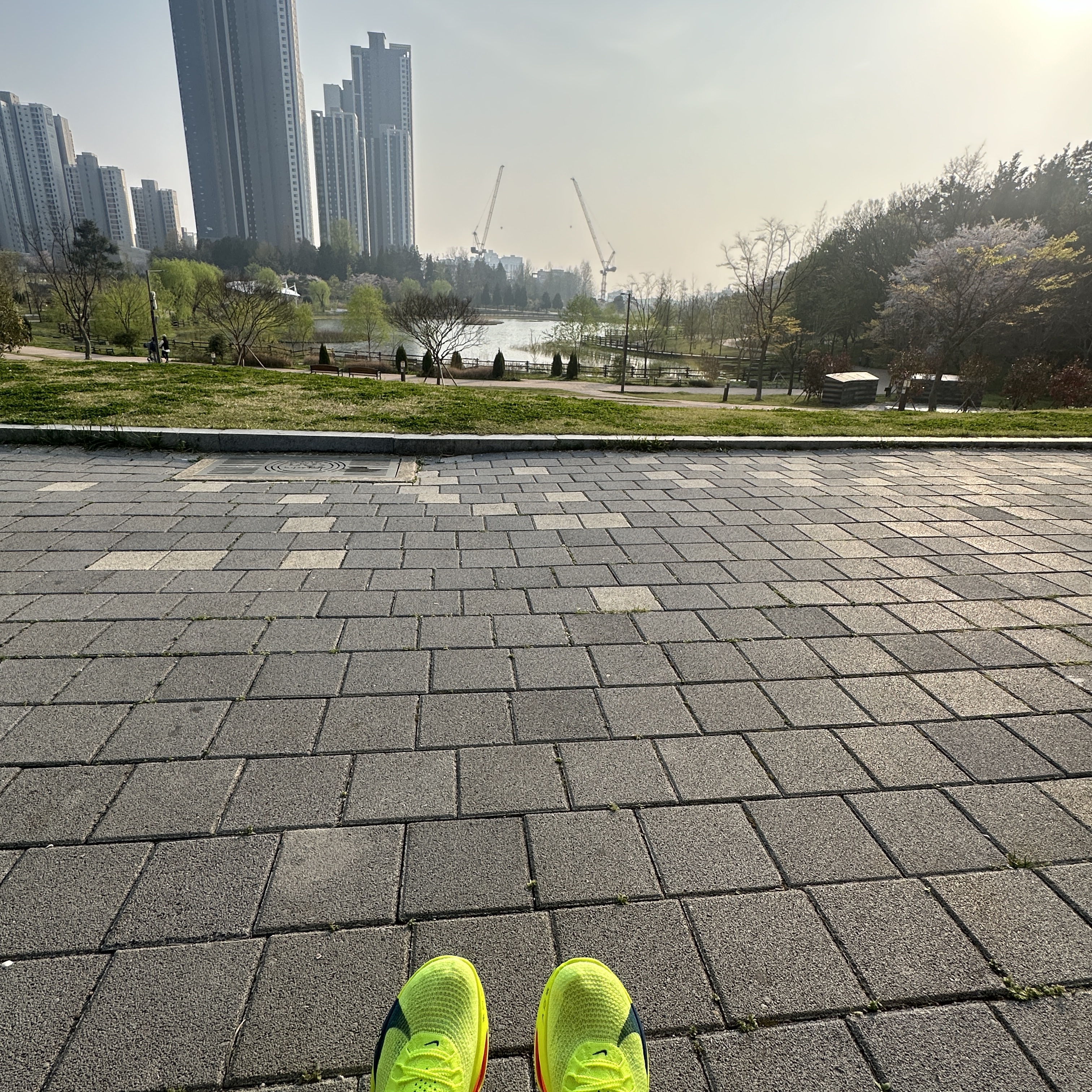 Nike Air Zoom Alphafly Next% 3 Volt 착용 스타일