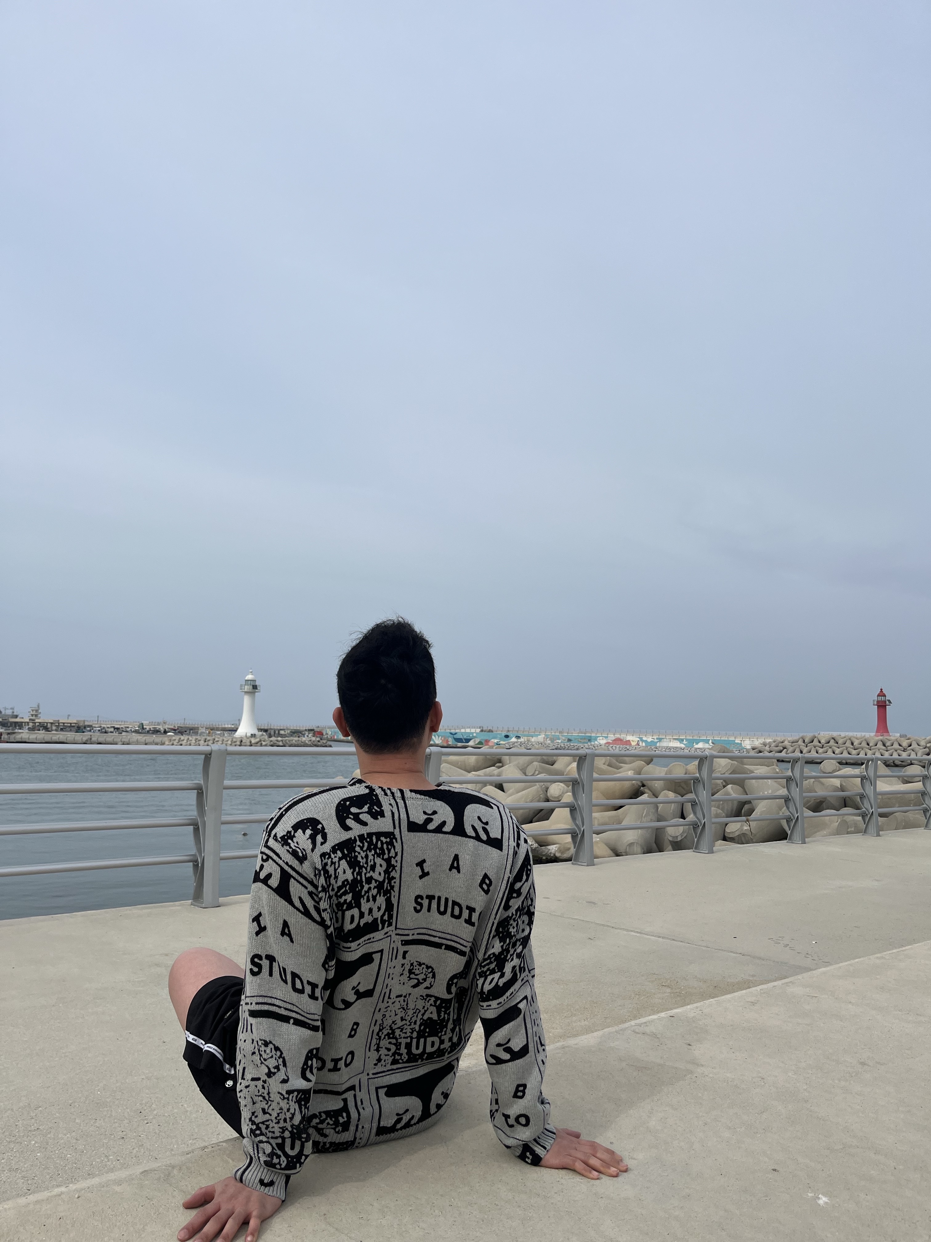 IAB Studio x Obey Faded Posters Sweater Grey Multi 착용 스타일