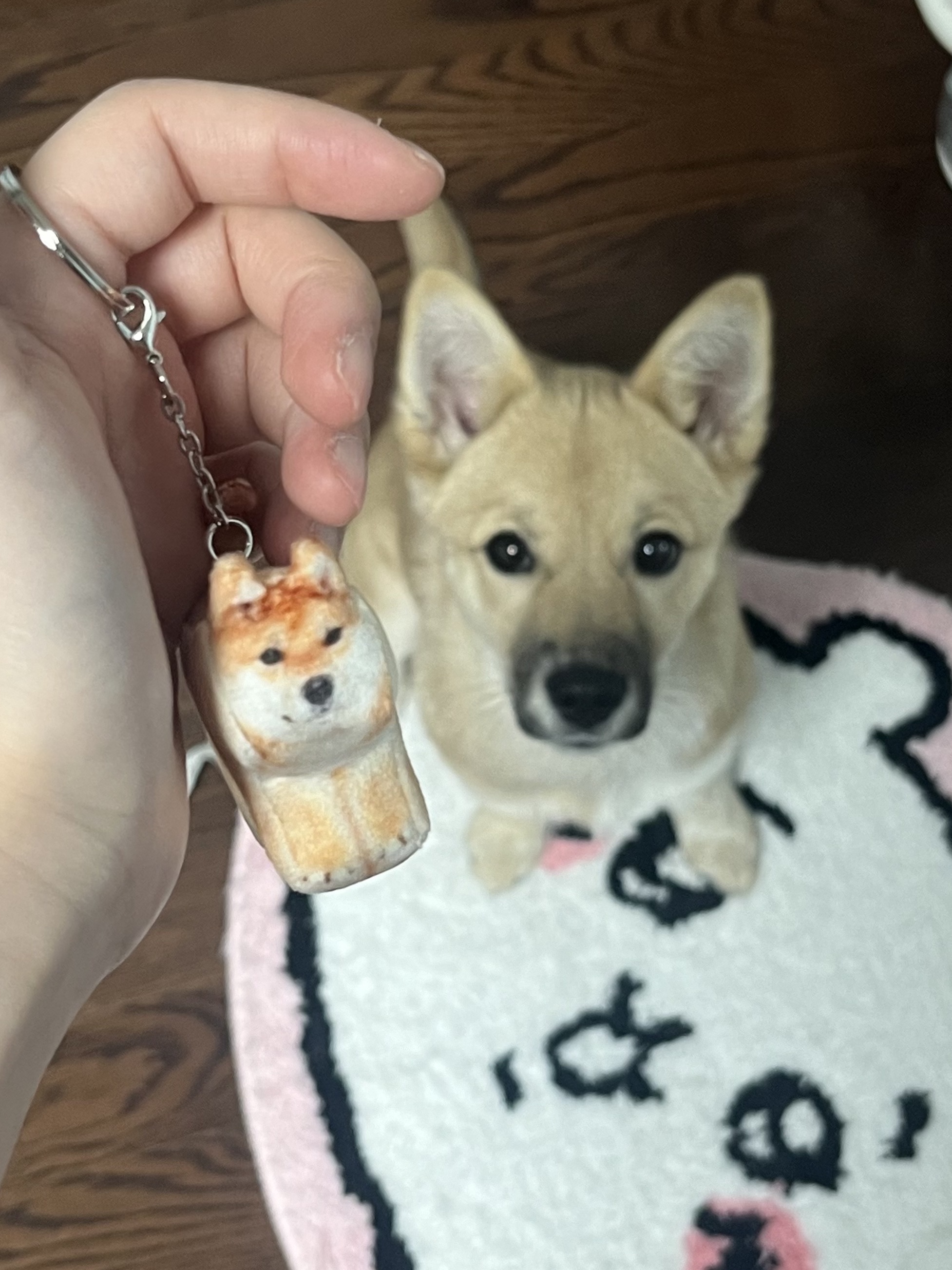Soft Thumbnail Guma, Shiba Inu 착용 스타일 - 1