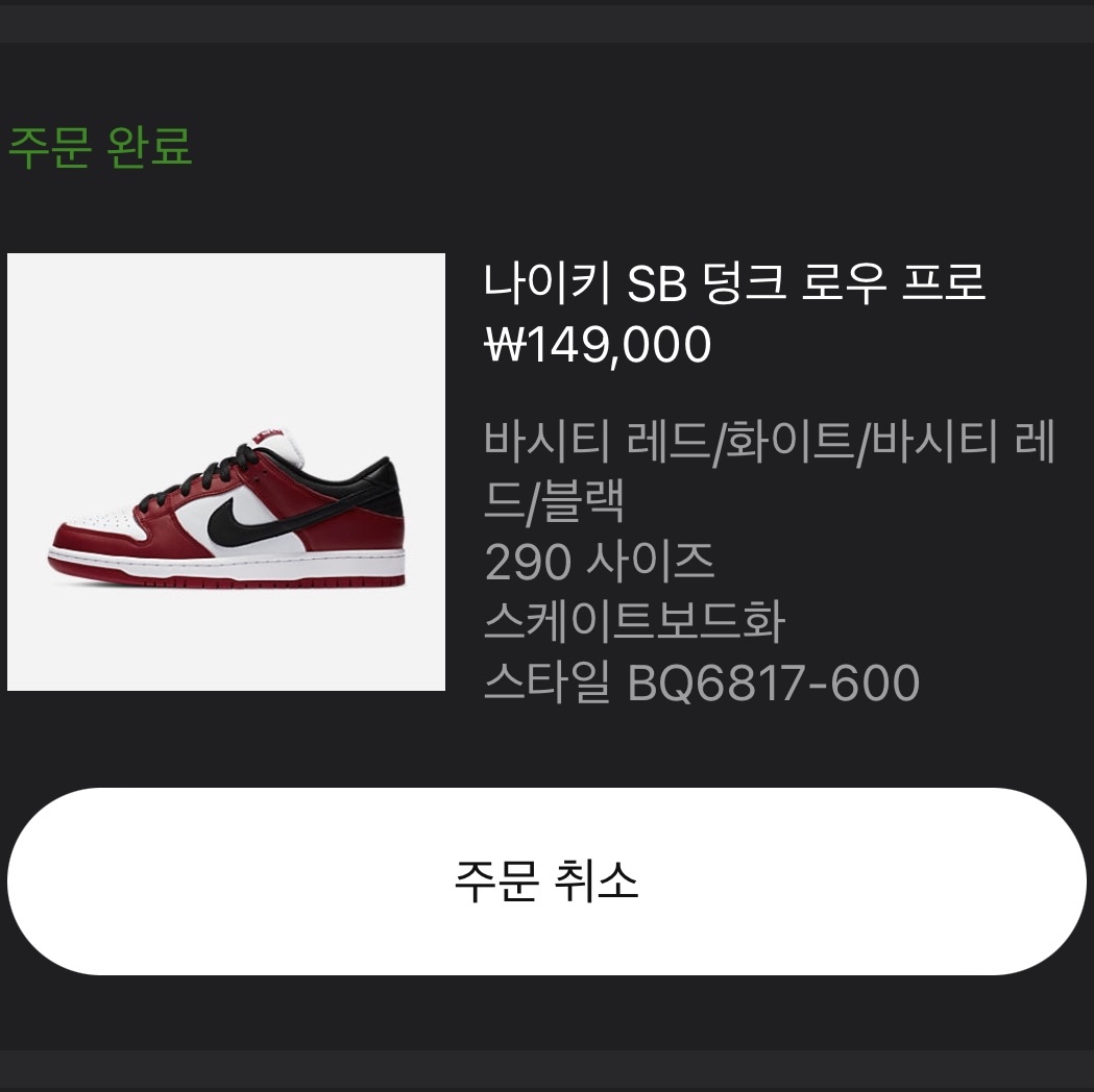 Nike SB Dunk Low Pro Chicago 착용 스타일