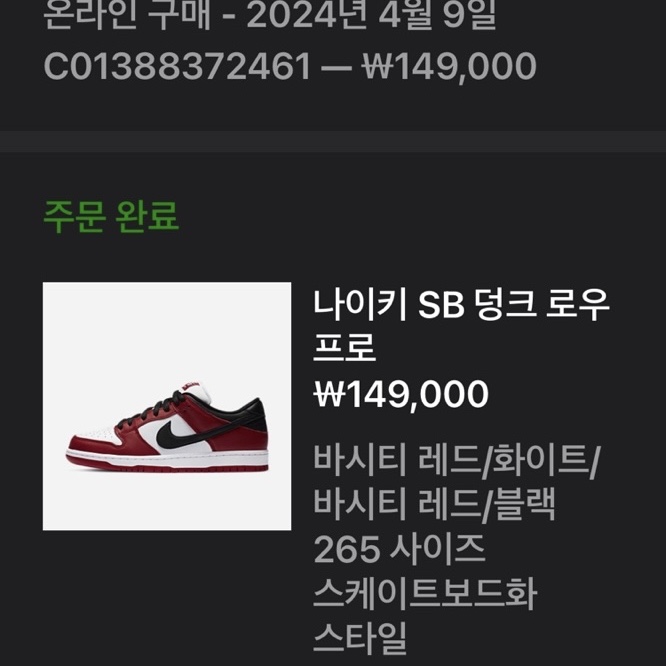 Nike SB Dunk Low Pro Chicago 착용 스타일