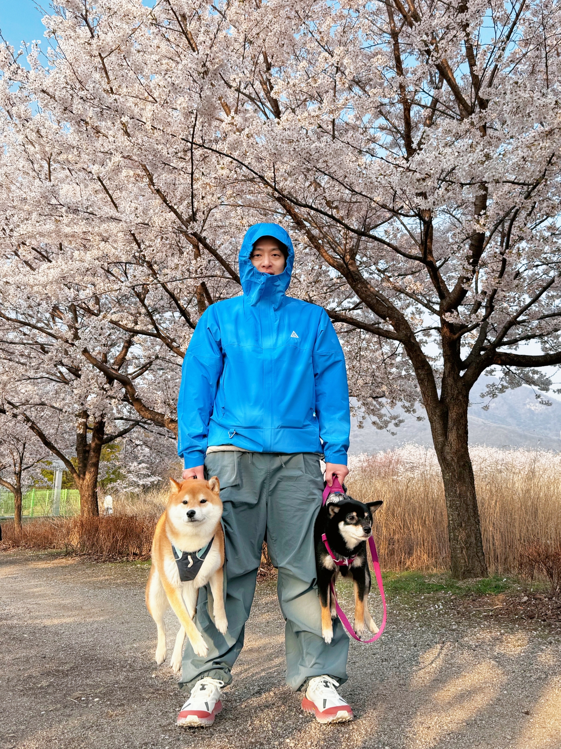 Nike ACG Storm-Fit ADV Cascade Rains Full Zip Jacket Light Photo Blue Summit White - US/EU, (W) Norda 001 LTD Mars 착용 스타일