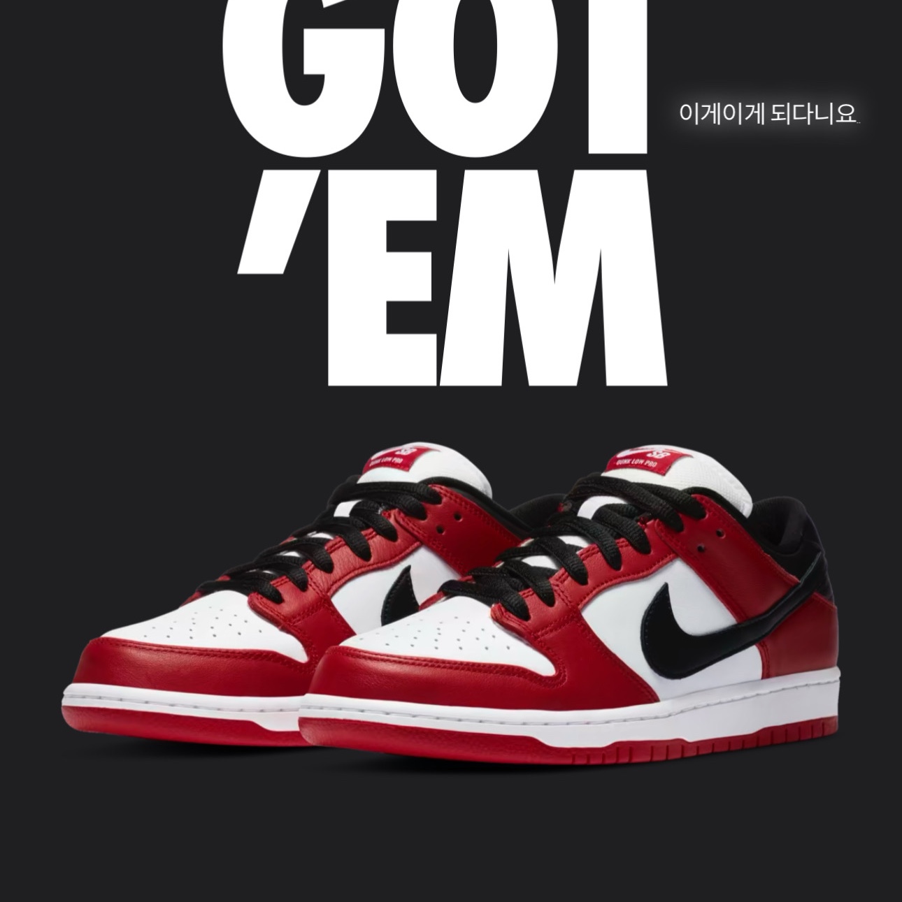 Nike SB Dunk Low Pro Chicago 착용 스타일