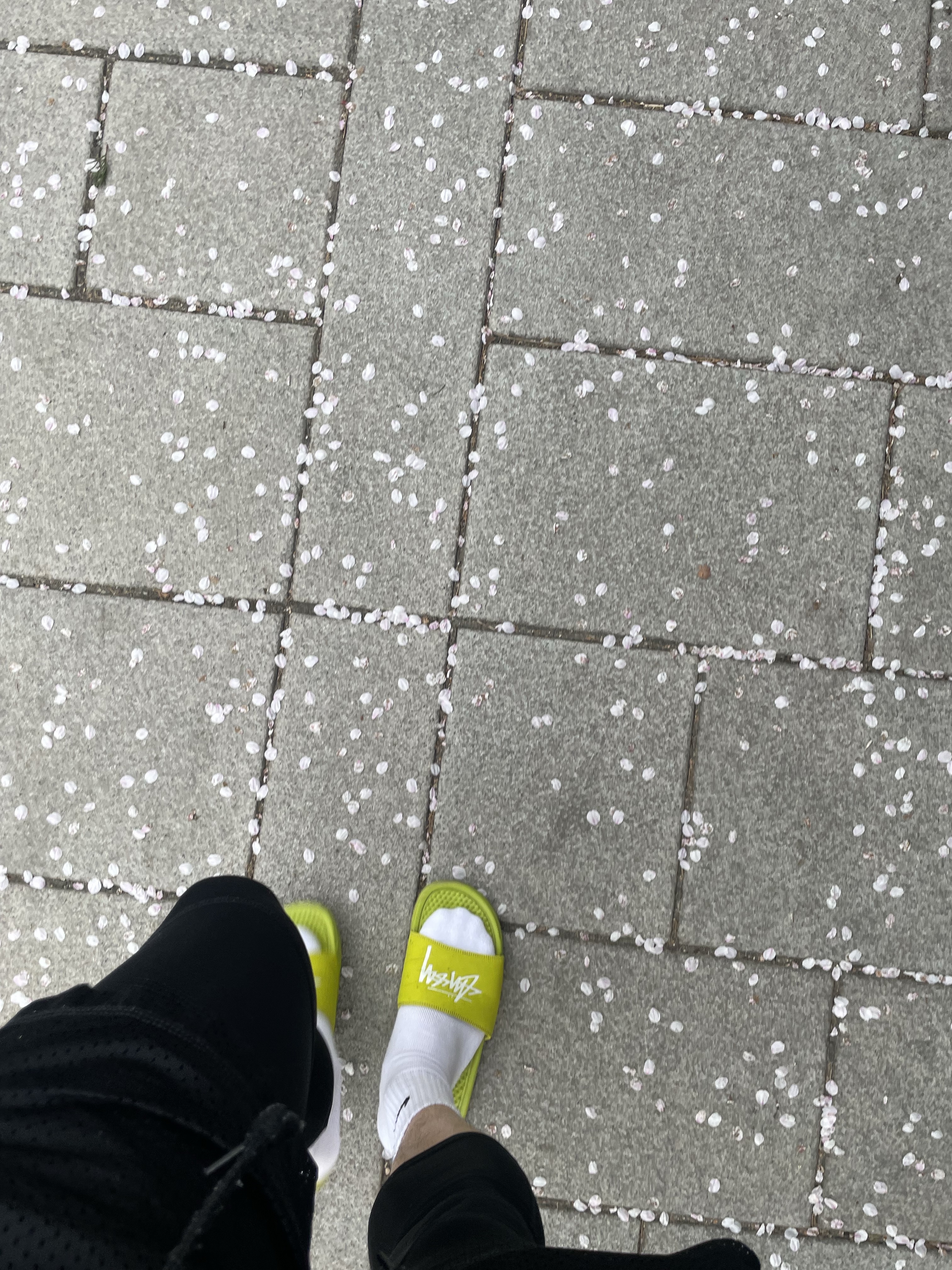 Nike x Stussy Benassi Slide Volt 착용 스타일