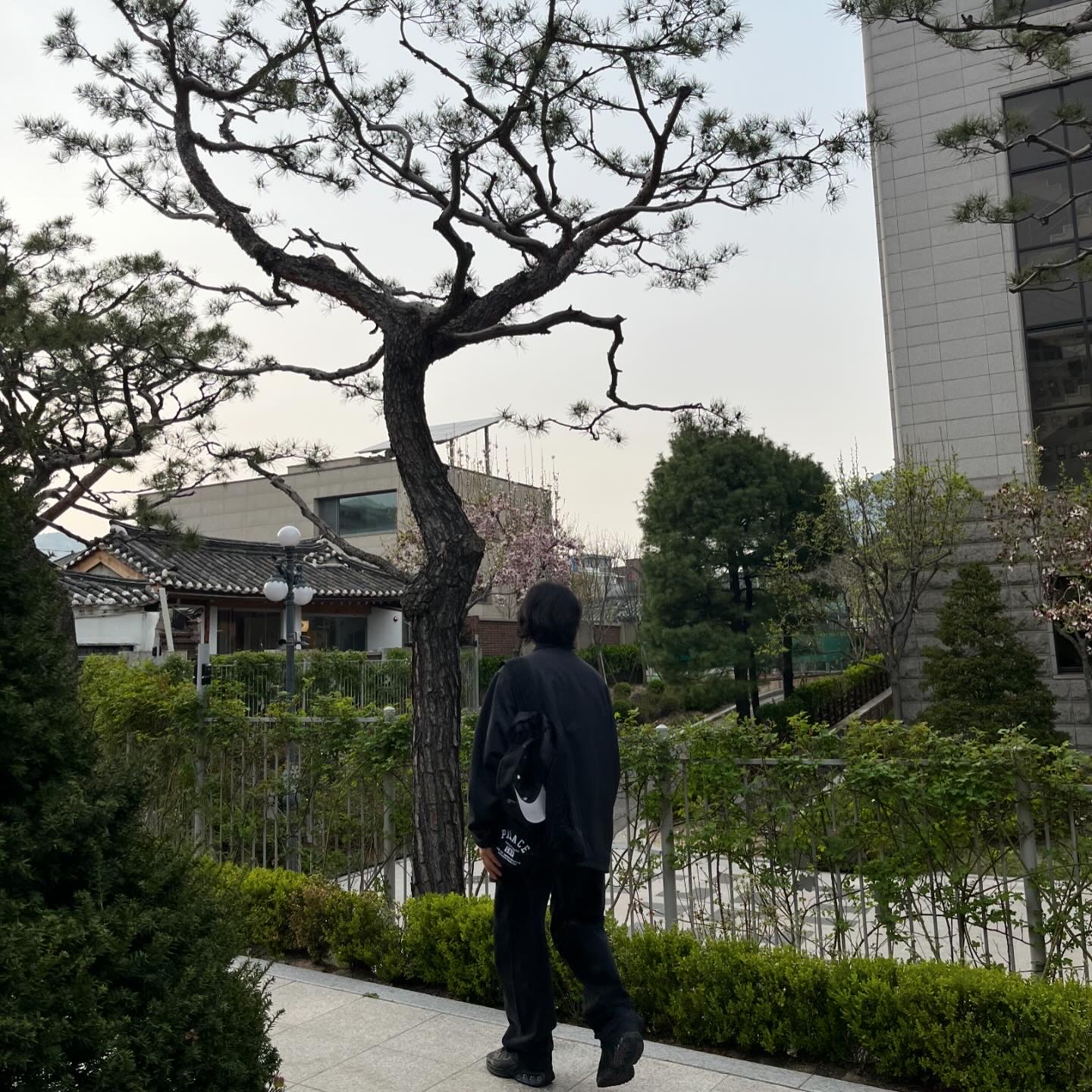 Palace x Gap Backpack Black - 24SS, Supreme Baggy Jean Black - 24SS 착용 스타일 - 5