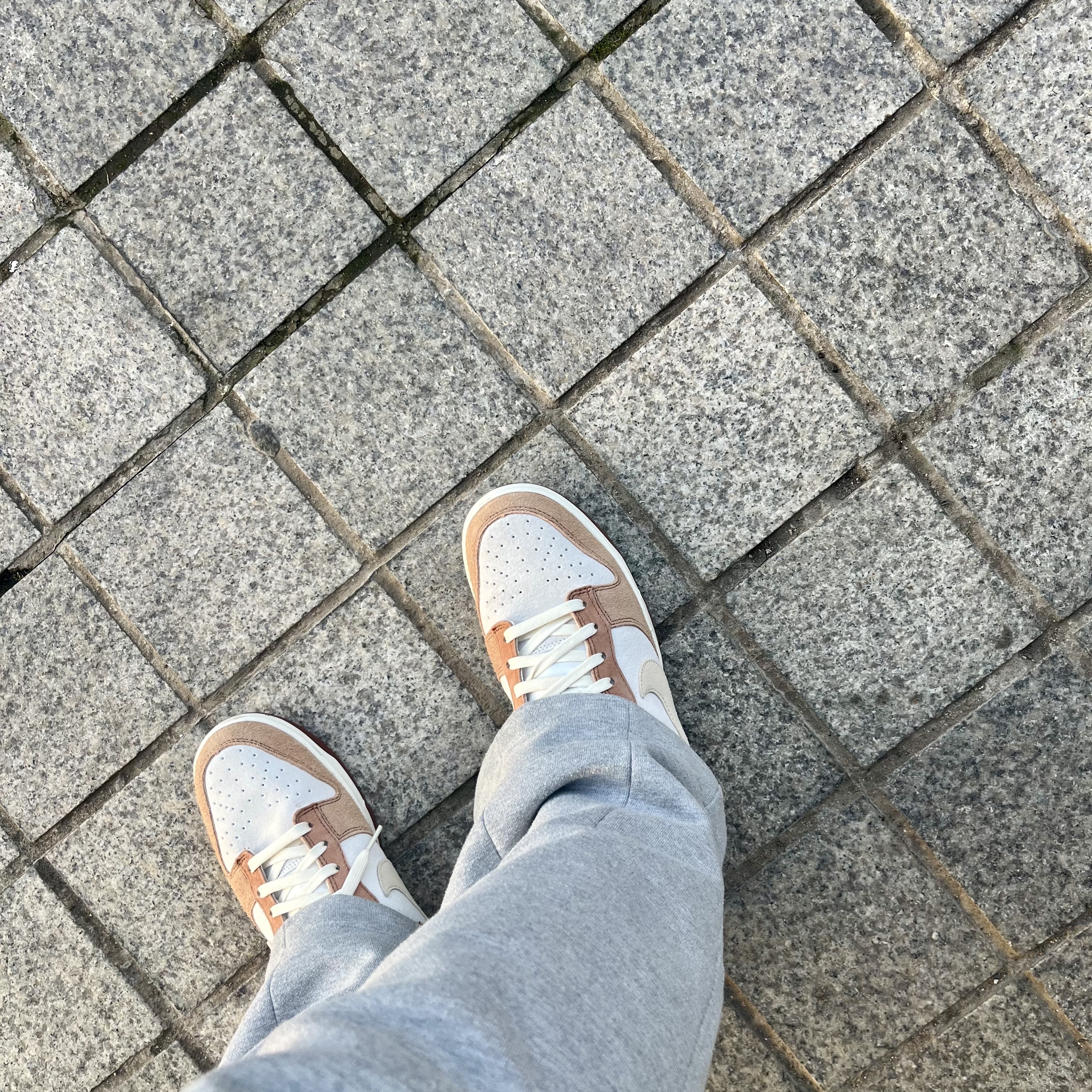 Nike Dunk Low Pro Premium Medium Curry 착용 스타일