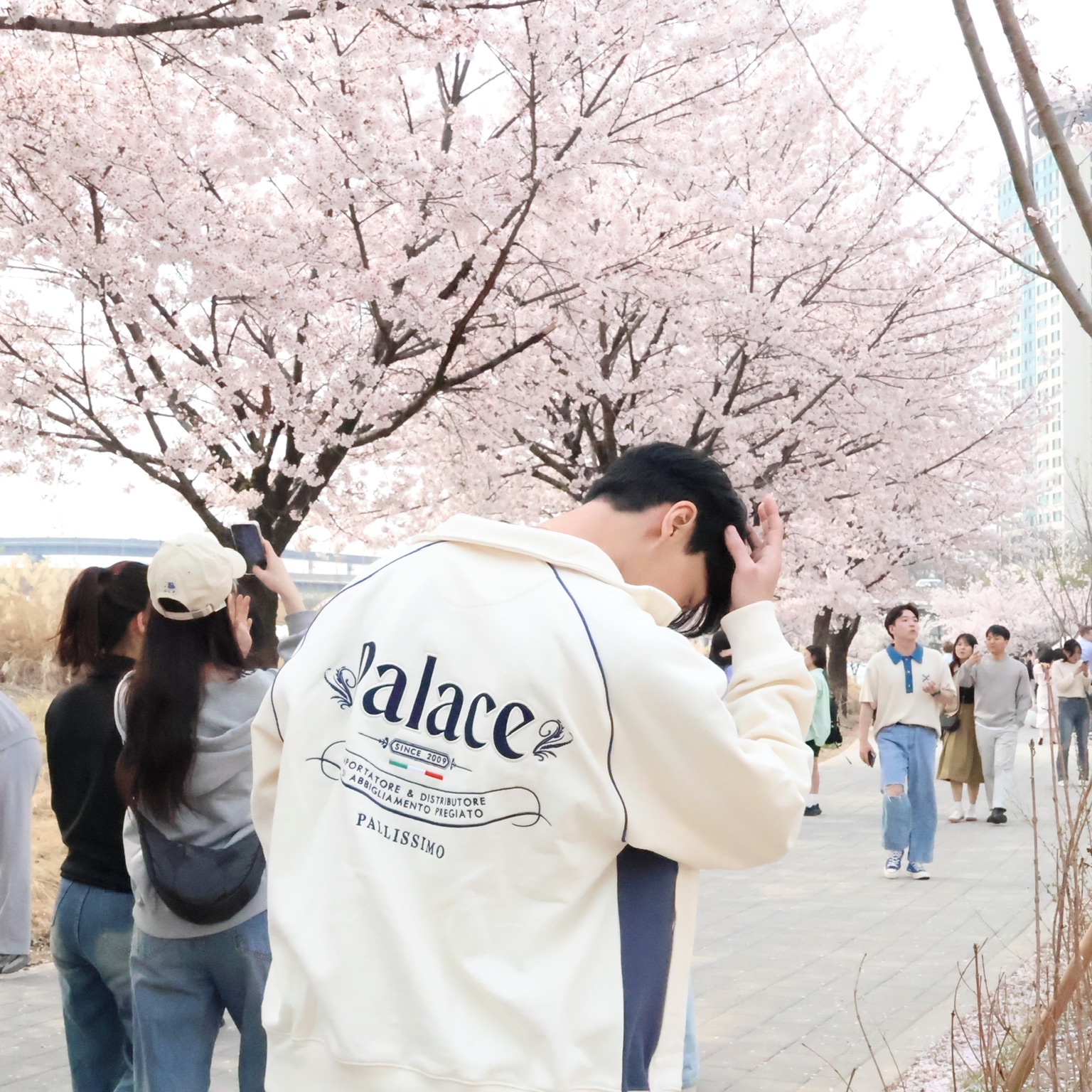 팔라스 이탈리아 집업 퍼넬 소프트 화이트 - 24SS | Palace | KREAM