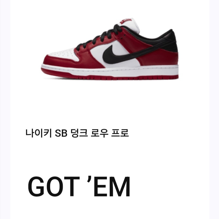 Nike SB Dunk Low Pro Chicago 착용 스타일